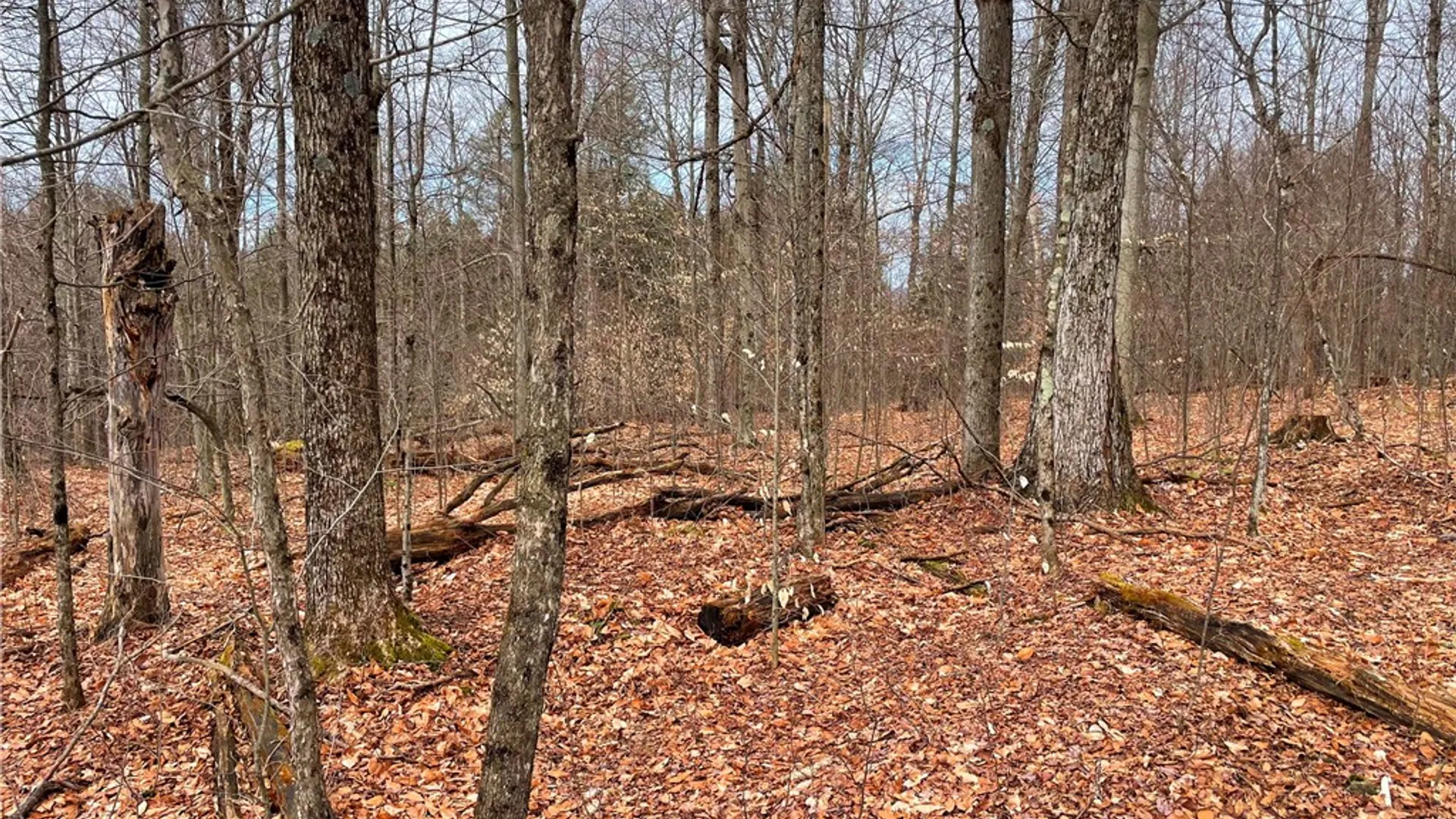 Property at 1017 Humphrey Road, Hamilton, NY 13346 47