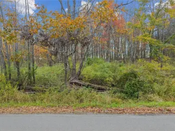Property at 0 Dawson Hill Road, Spencer, NY 14883