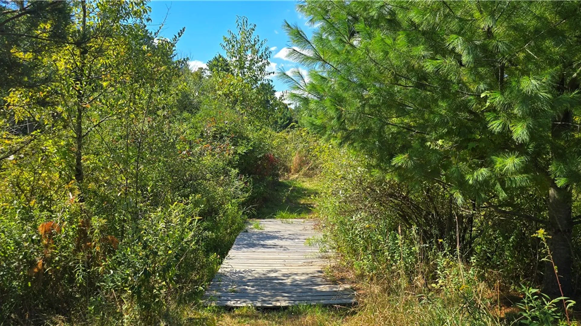 Property at 1290 Ayres Road Road, Gillett, PA 16925 41