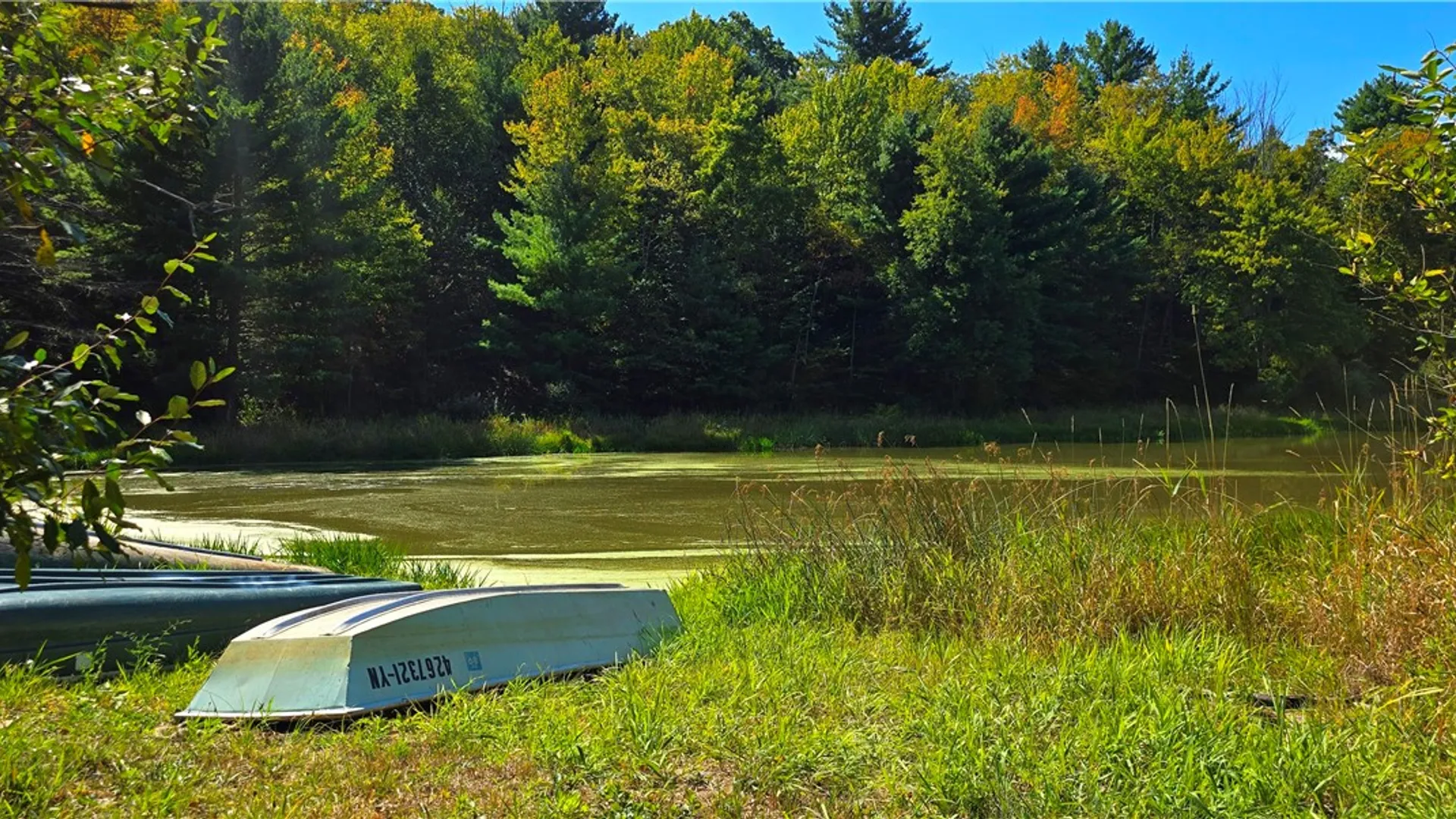 Property at 1290 Ayres Road Road, Gillett, PA 16925 42