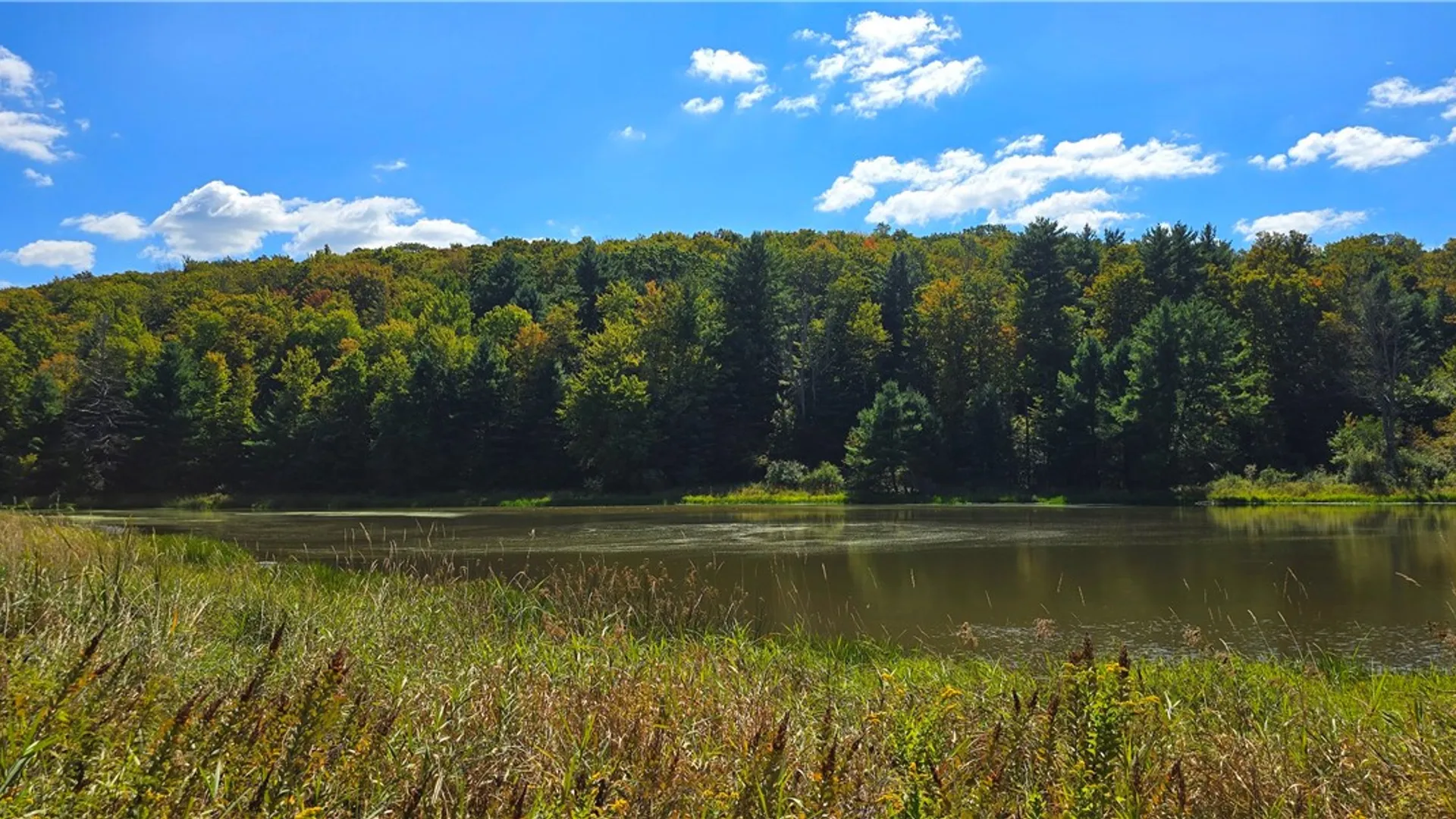 Property at 1290 Ayres Road Road, Gillett, PA 16925 43