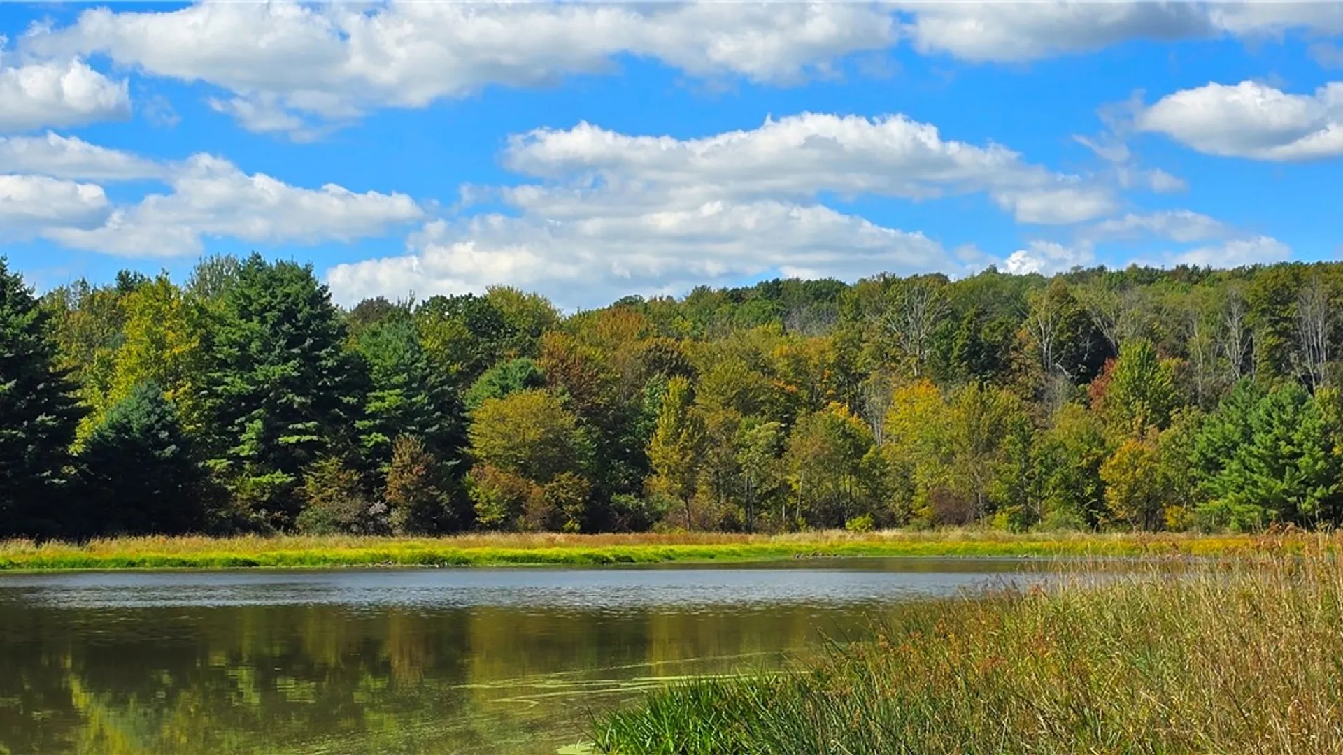 Property at 1290 Ayres Road Road, Gillett, PA 16925 45