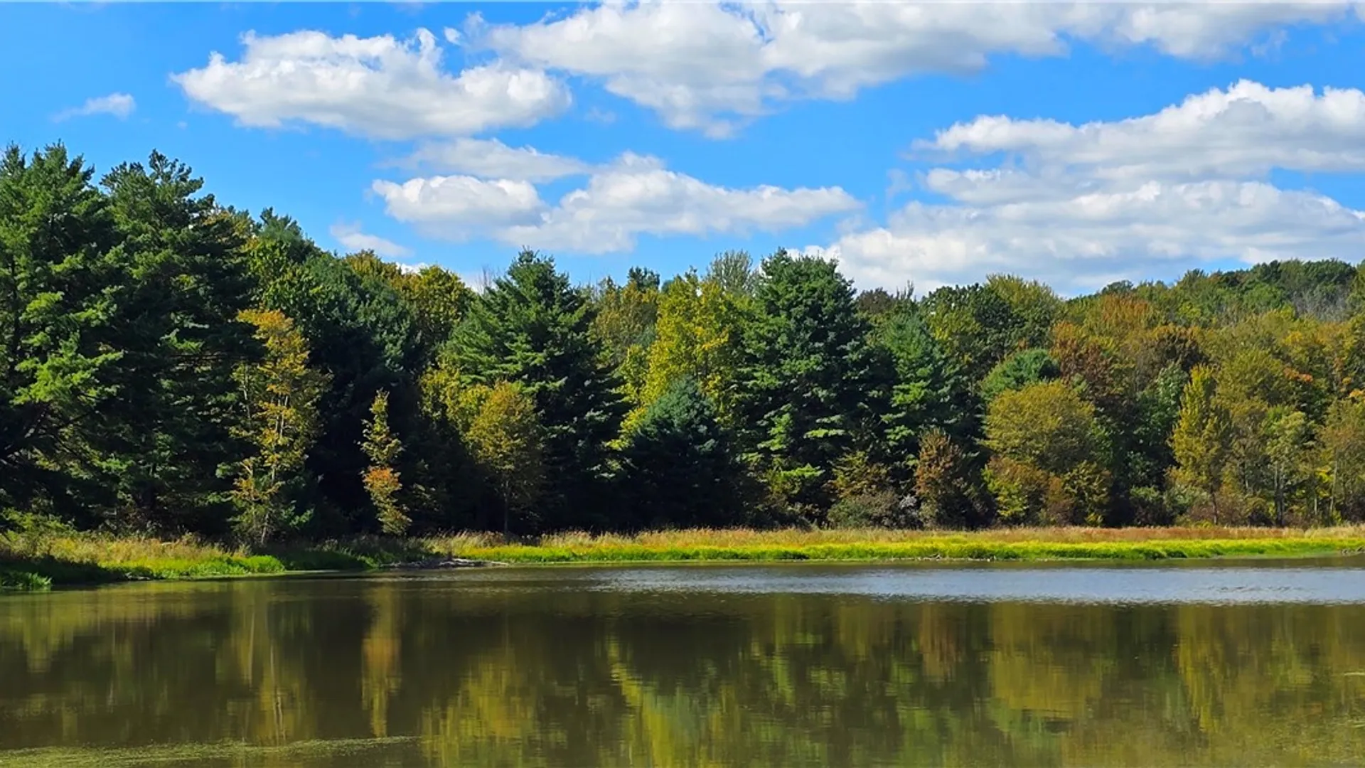 Property at 1290 Ayres Road Road, Gillett, PA 16925 46