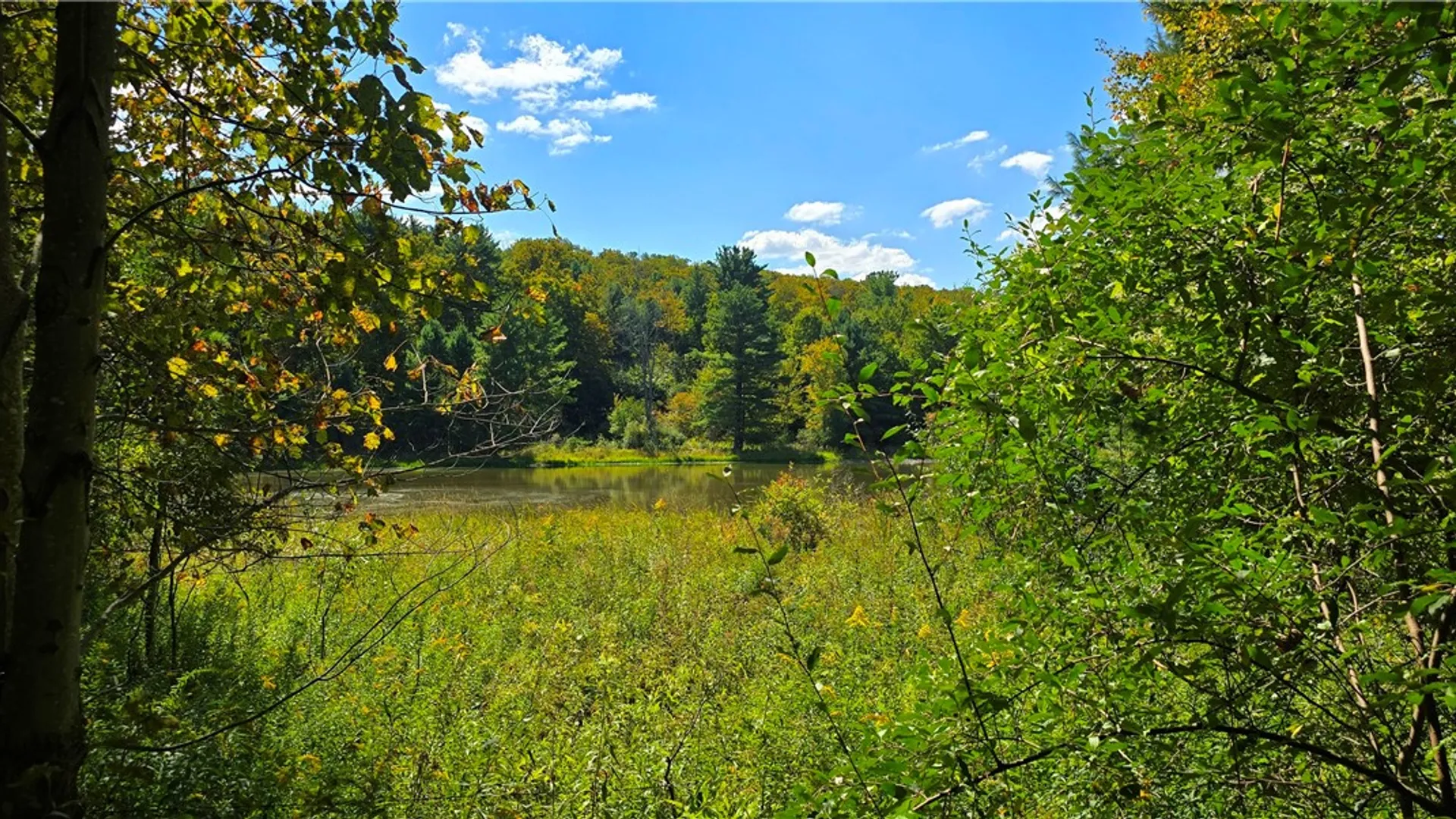Property at 1290 Ayres Road Road, Gillett, PA 16925 47