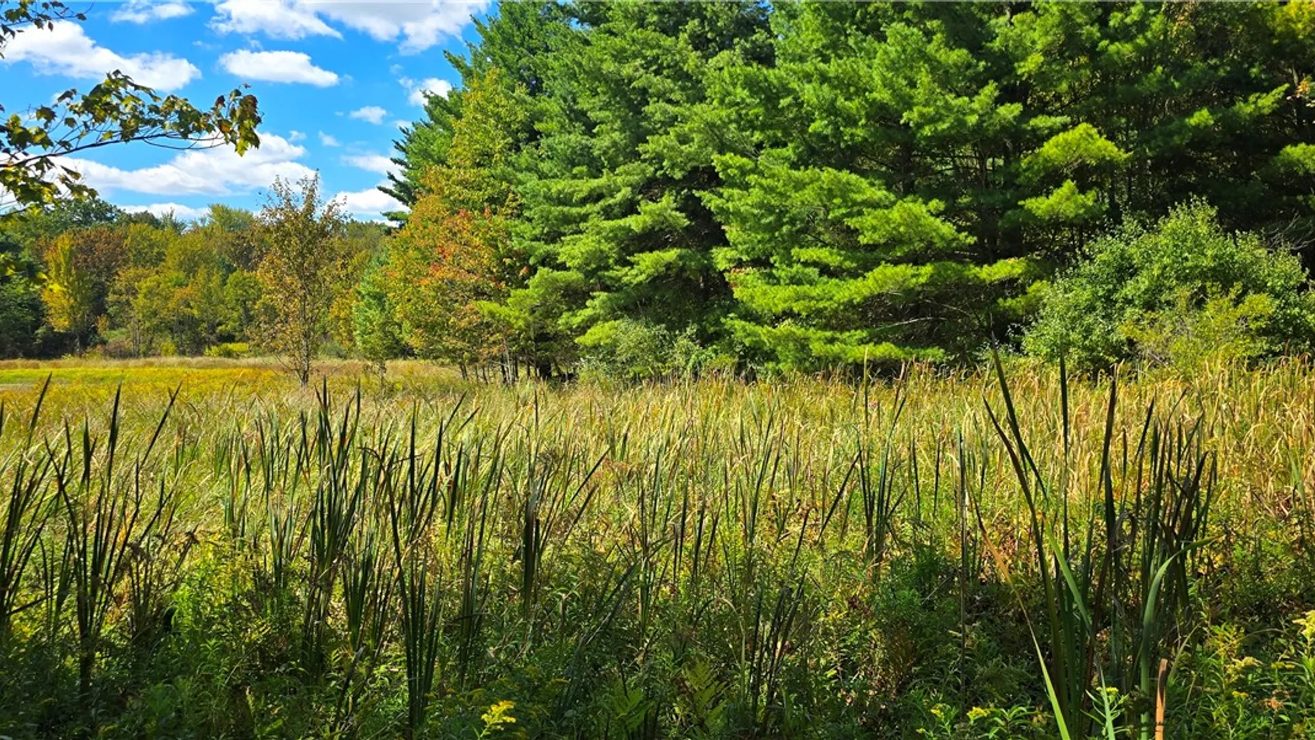 Property at 1290 Ayres Road Road, Gillett, PA 16925 48