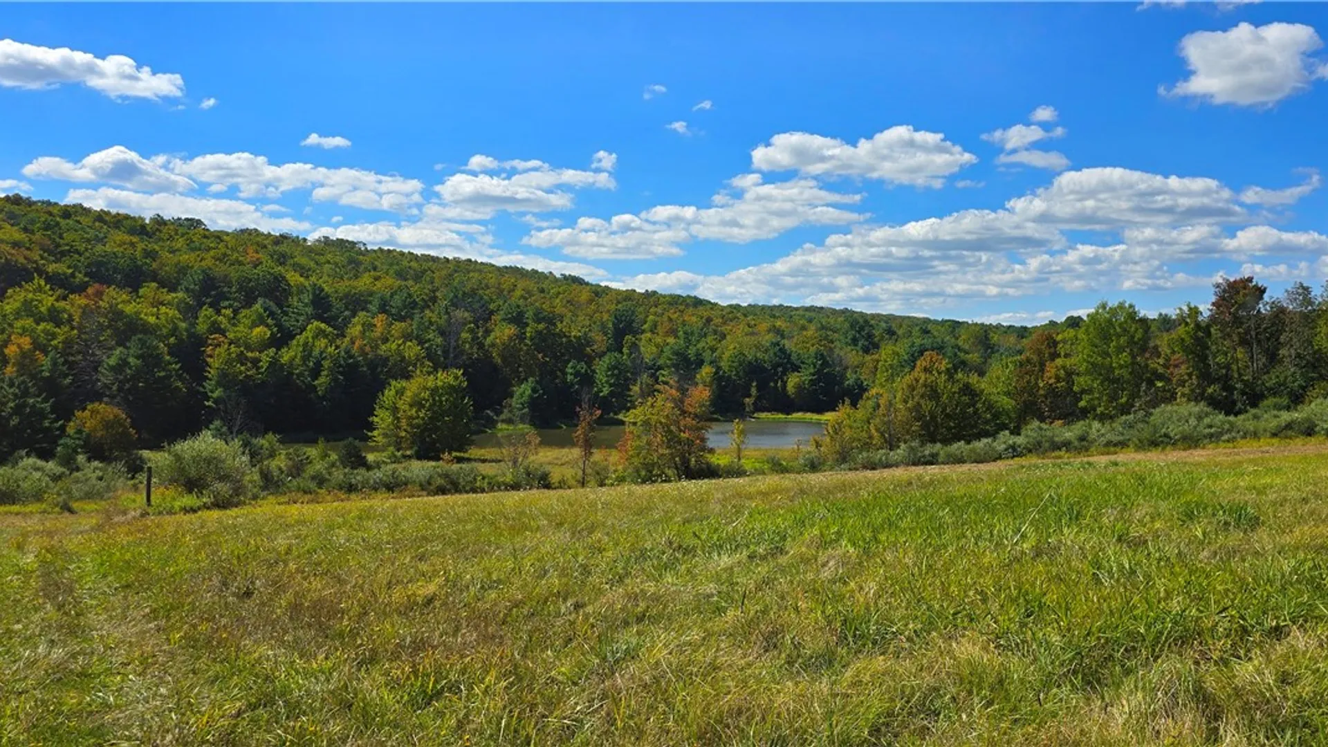 Property at 1290 Ayres Road Road, Gillett, PA 16925 49