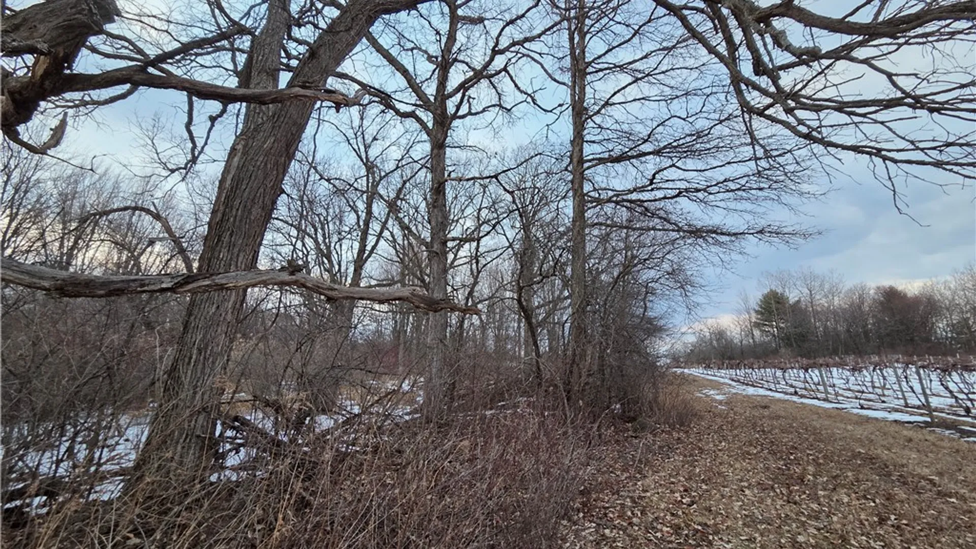 Property at Sutton Road, Jerusalem, NY 14527 21