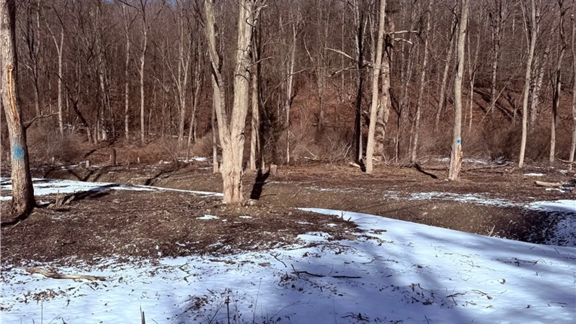Property at 0 Cr-16, Orange, NY 14812 6