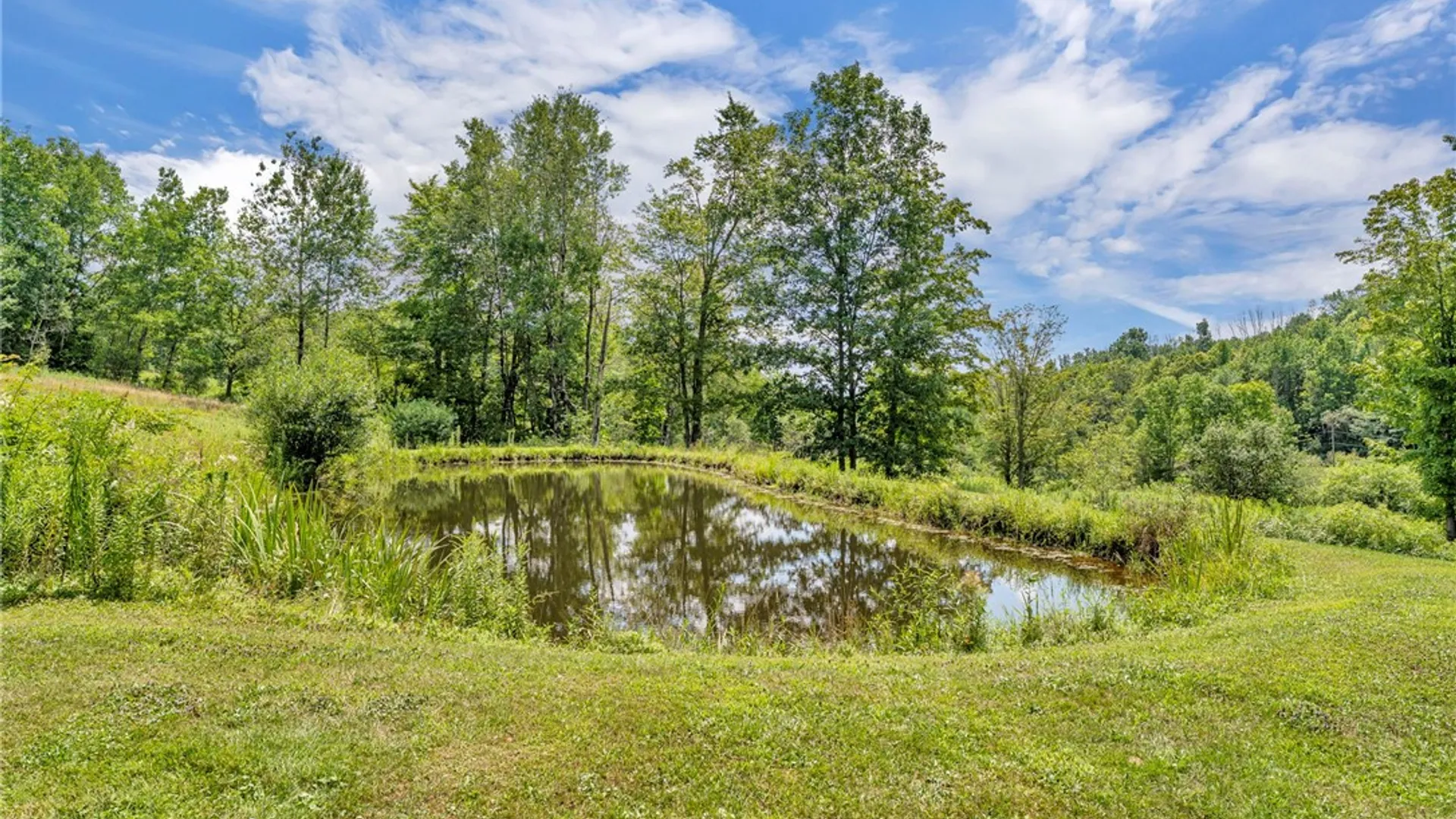 Property at 500 Ben Mccumber Road, Unadilla, NY 13849 5