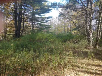 Property at 0 Dawson Hill Road, Spencer, NY 14883