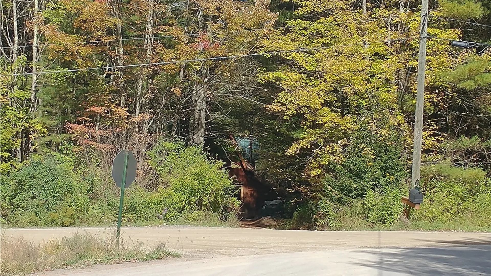 Property at 0 Dawson Hill Road, Spencer, NY 14883 9