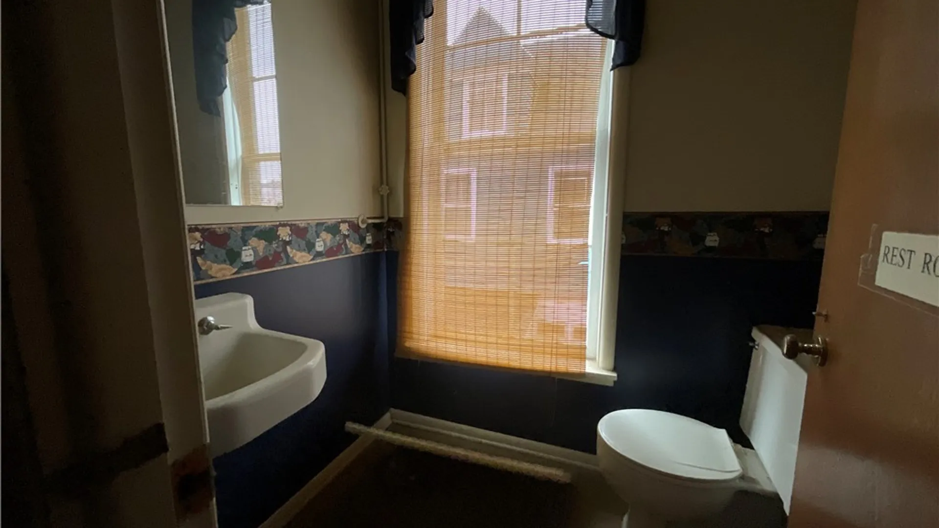 Property at 113 Main Street, North Dansville, NY 14437 12