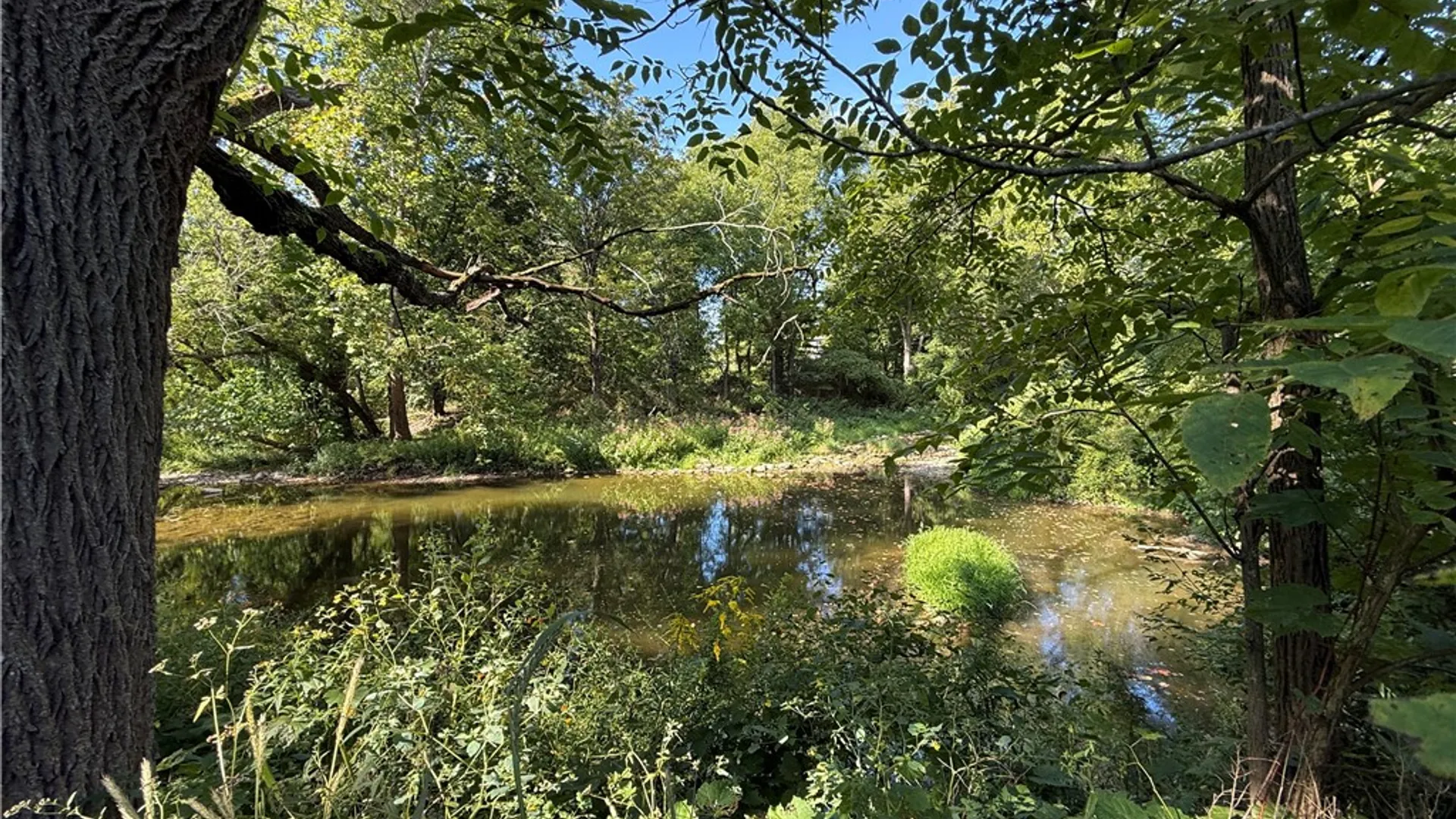 Property at Rt-90, Genoa, NY 13071 19