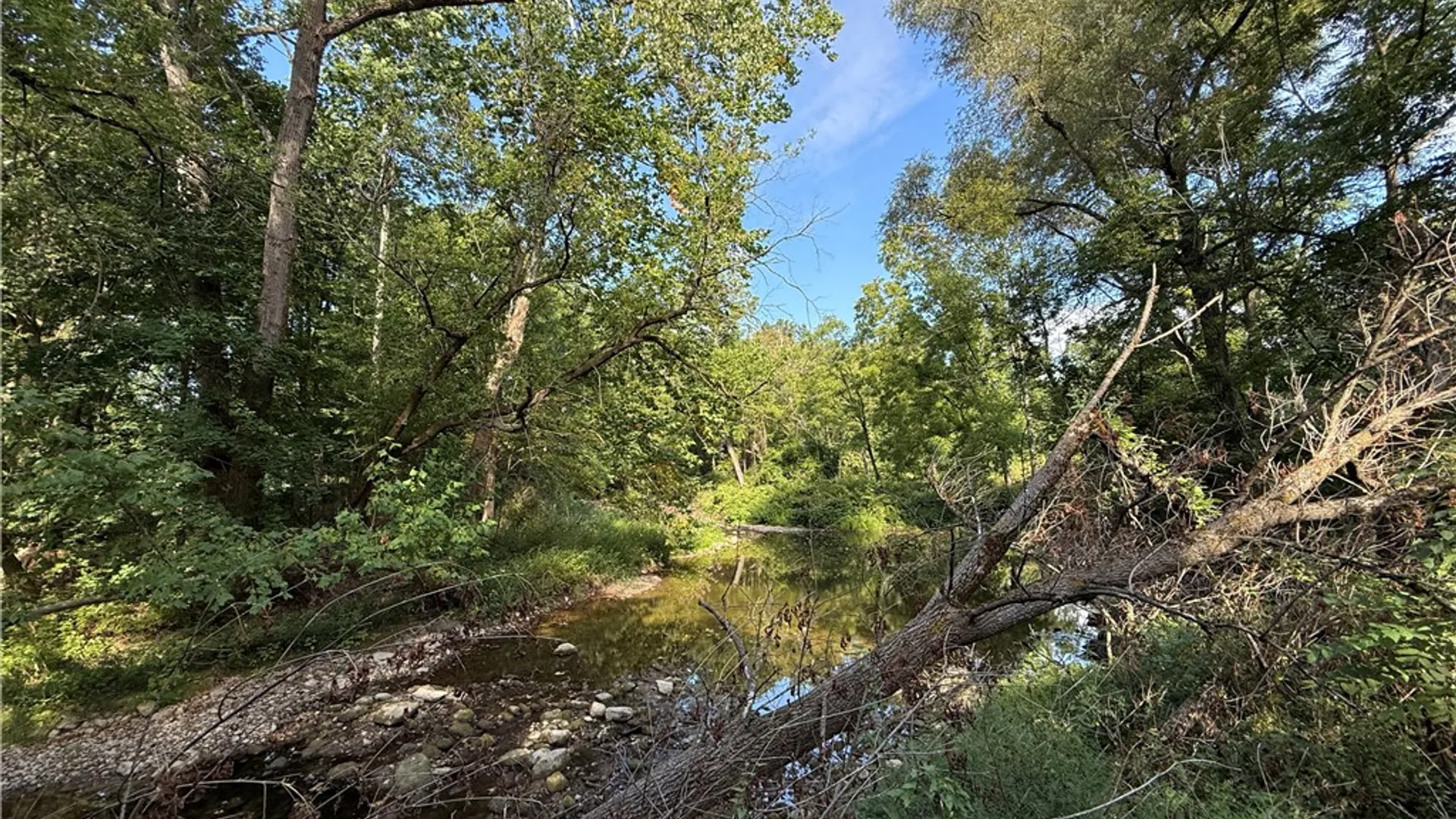 Property at Rt-90, Genoa, NY 13071 5