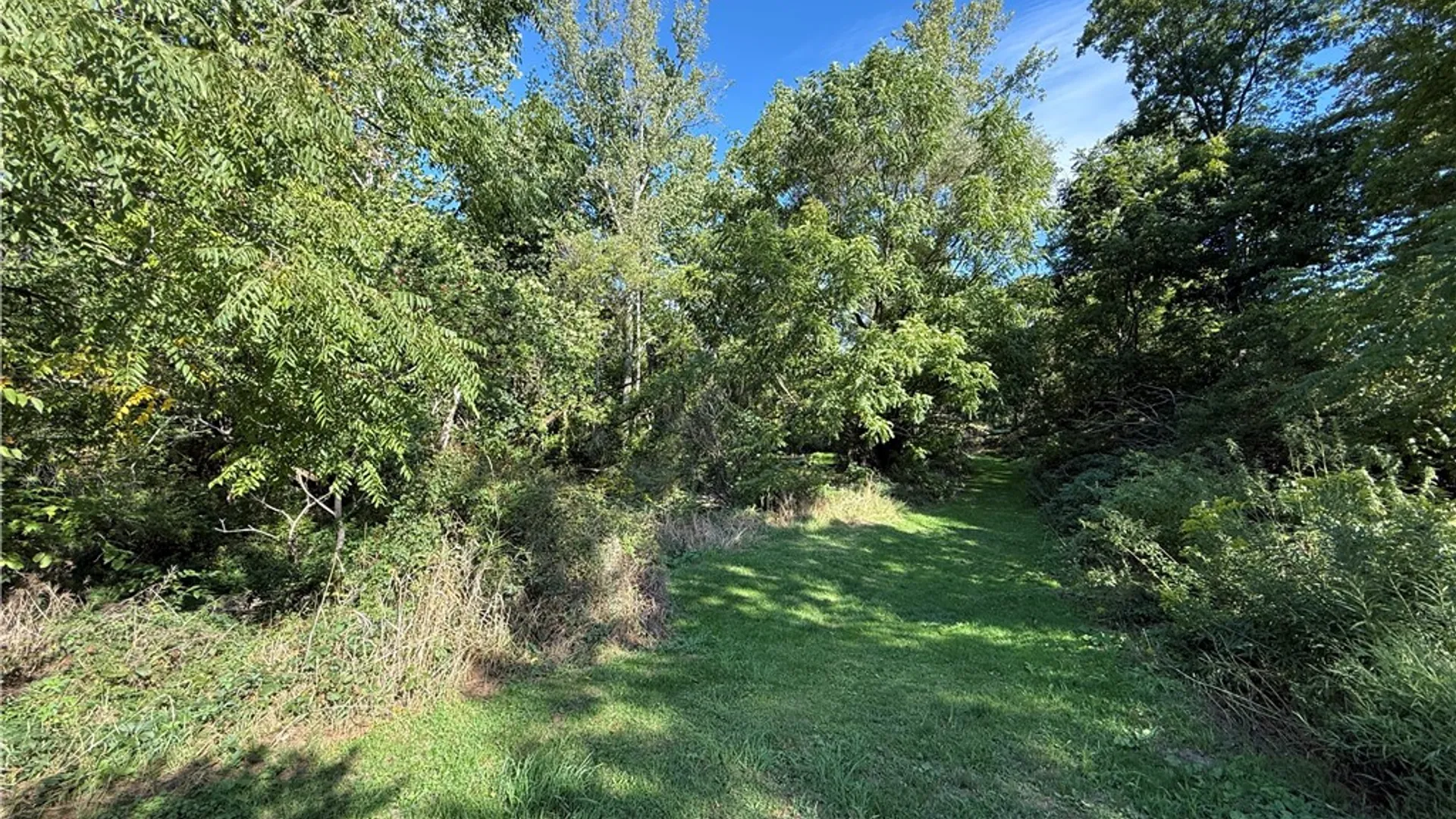 Property at Rt-90, Genoa, NY 13071 7