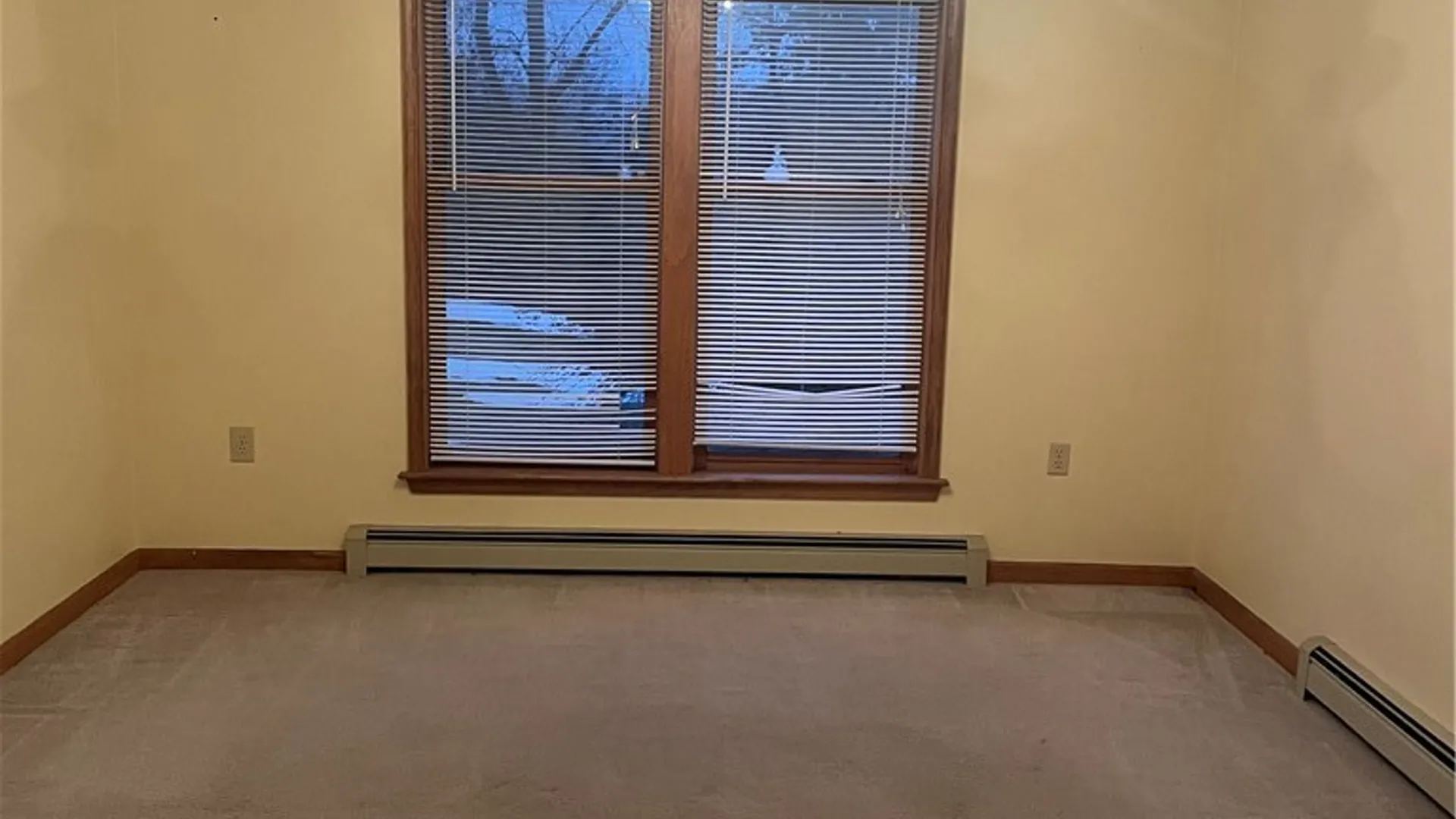 Property at 8989 Main Street, Rushford, NY 14777 12