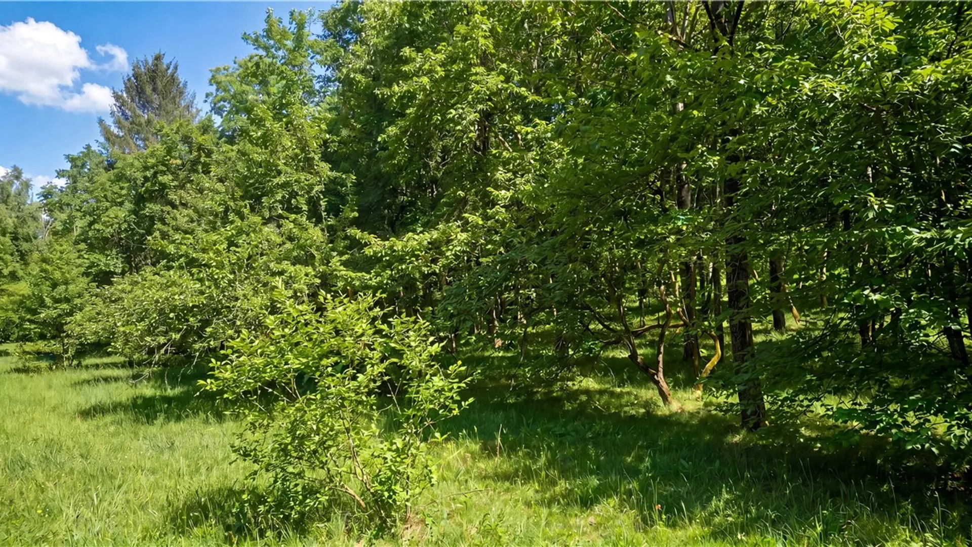 Property at L29 County Highway 45, Hartwick, NY 13807 16