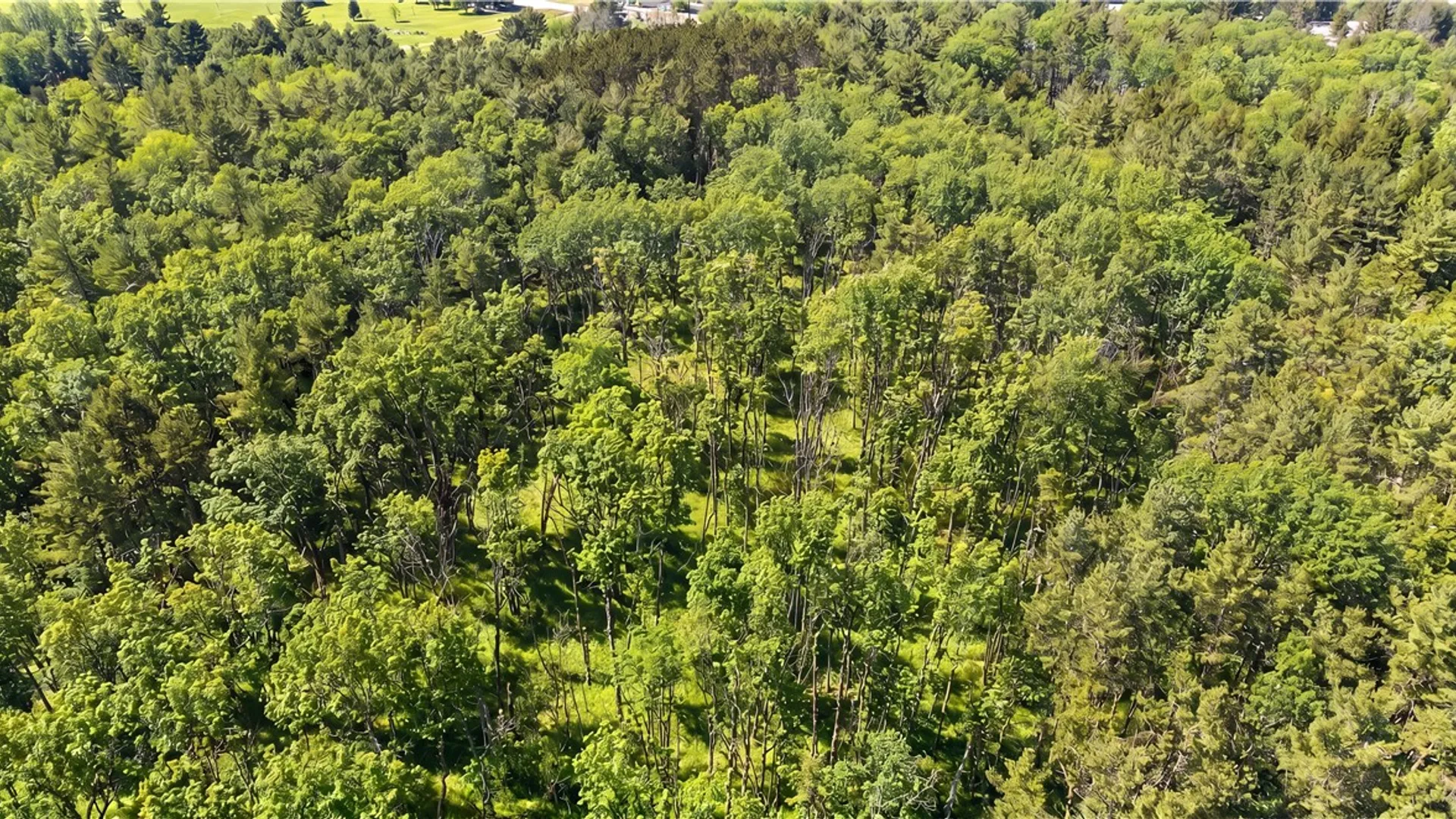 Property at L29 County Highway 45, Hartwick, NY 13807 9