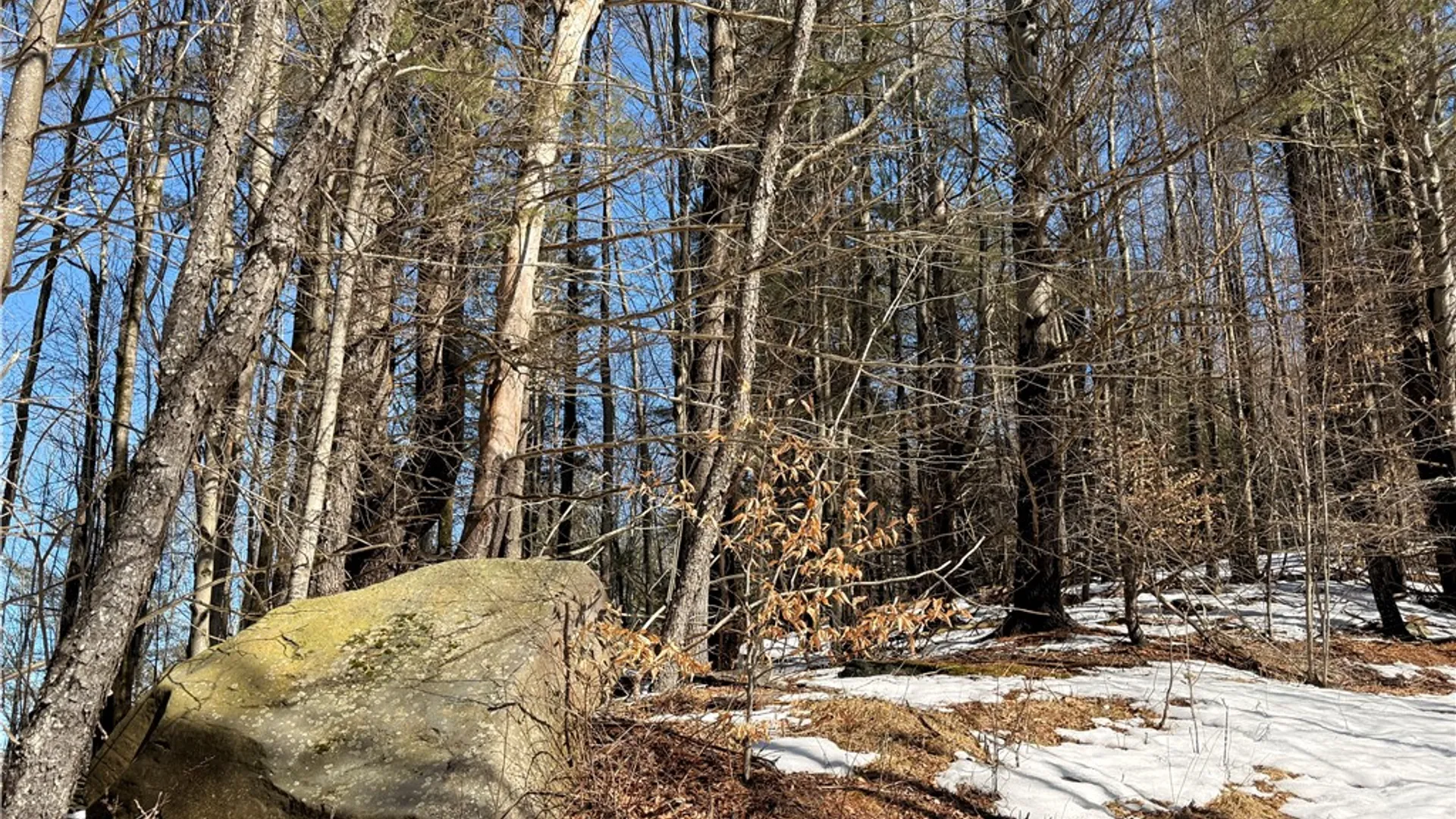 Property at 30 & 33 Harter Road, Lexington, NY 12492 12