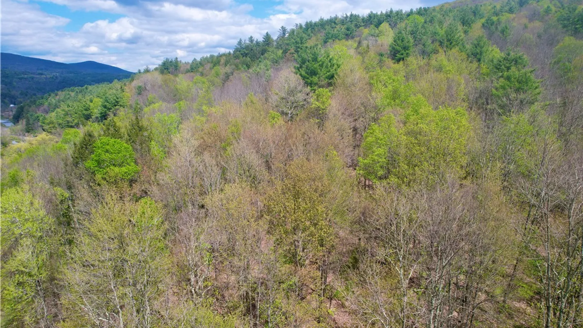 Property at 30 & 33 Harter Road, Lexington, NY 12492 22