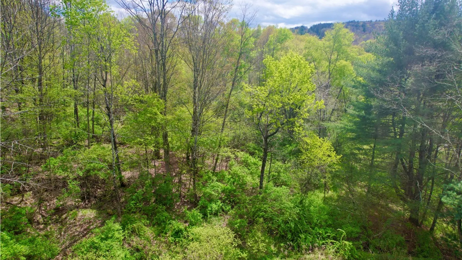 Property at 30 & 33 Harter Road, Lexington, NY 12492 23