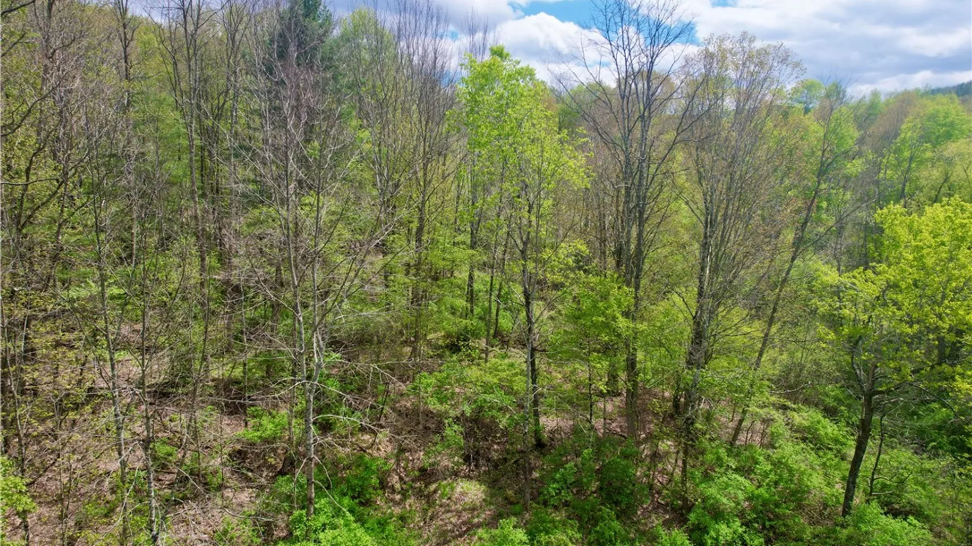 Property at 30 & 33 Harter Road, Lexington, NY 12492 24