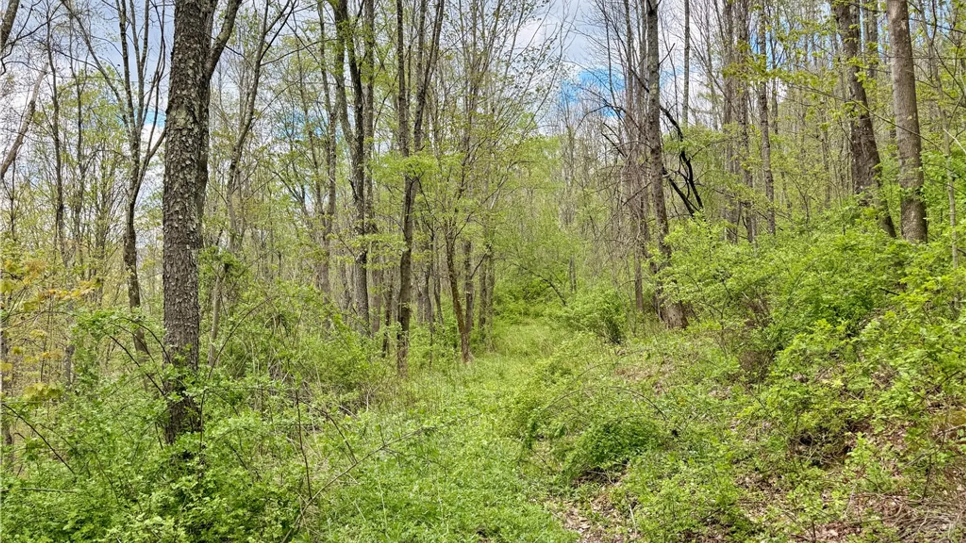 Property at 30 & 33 Harter Road, Lexington, NY 12492 13
