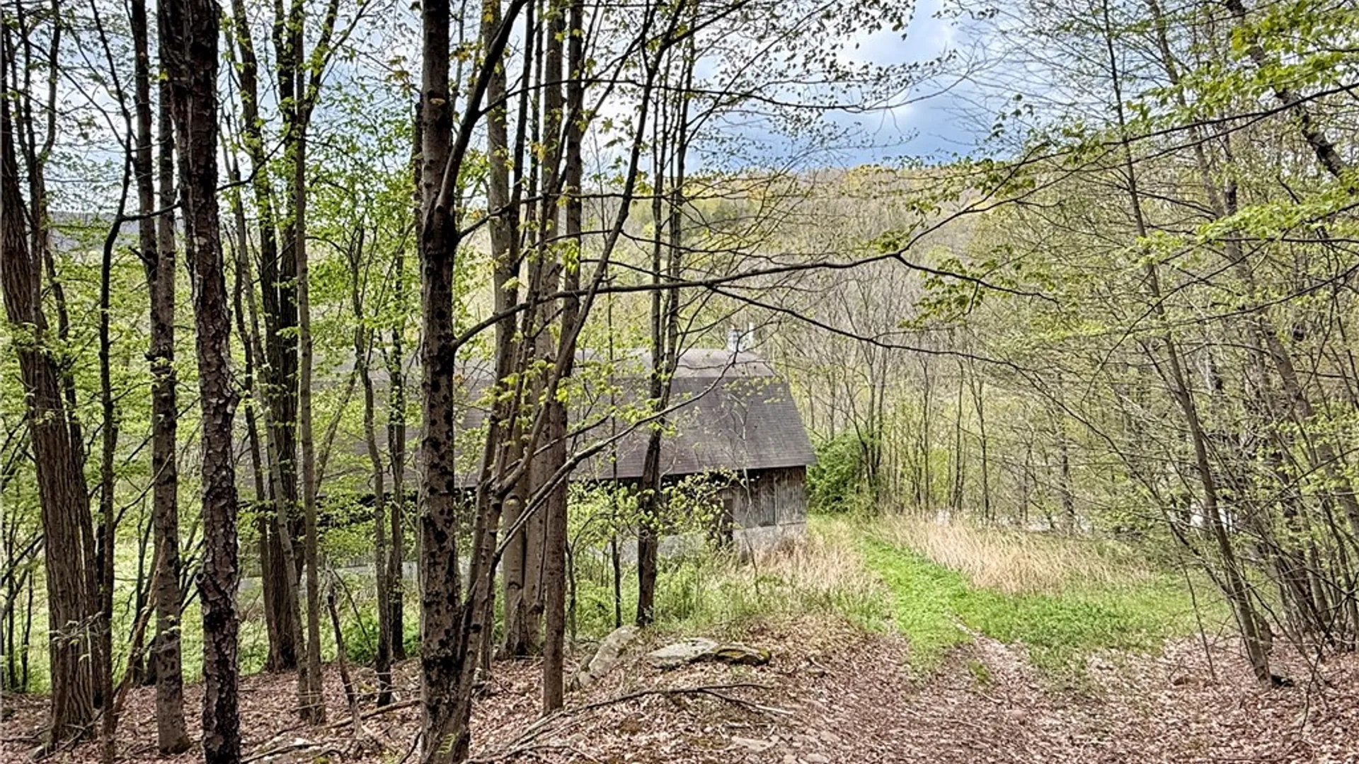 Property at 30 & 33 Harter Road, Lexington, NY 12492 14