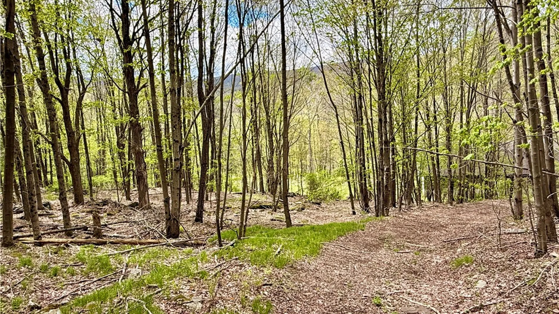 Property at 30 & 33 Harter Road, Lexington, NY 12492 15