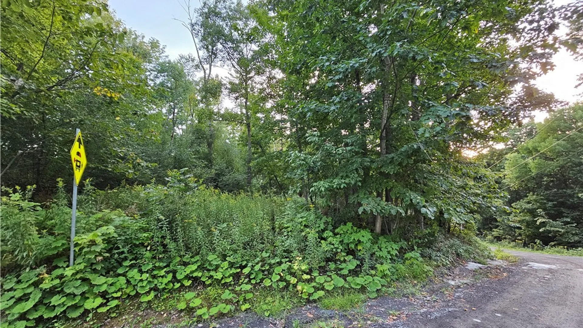 Property at Old State Rd, Denmark, NY 13619 19