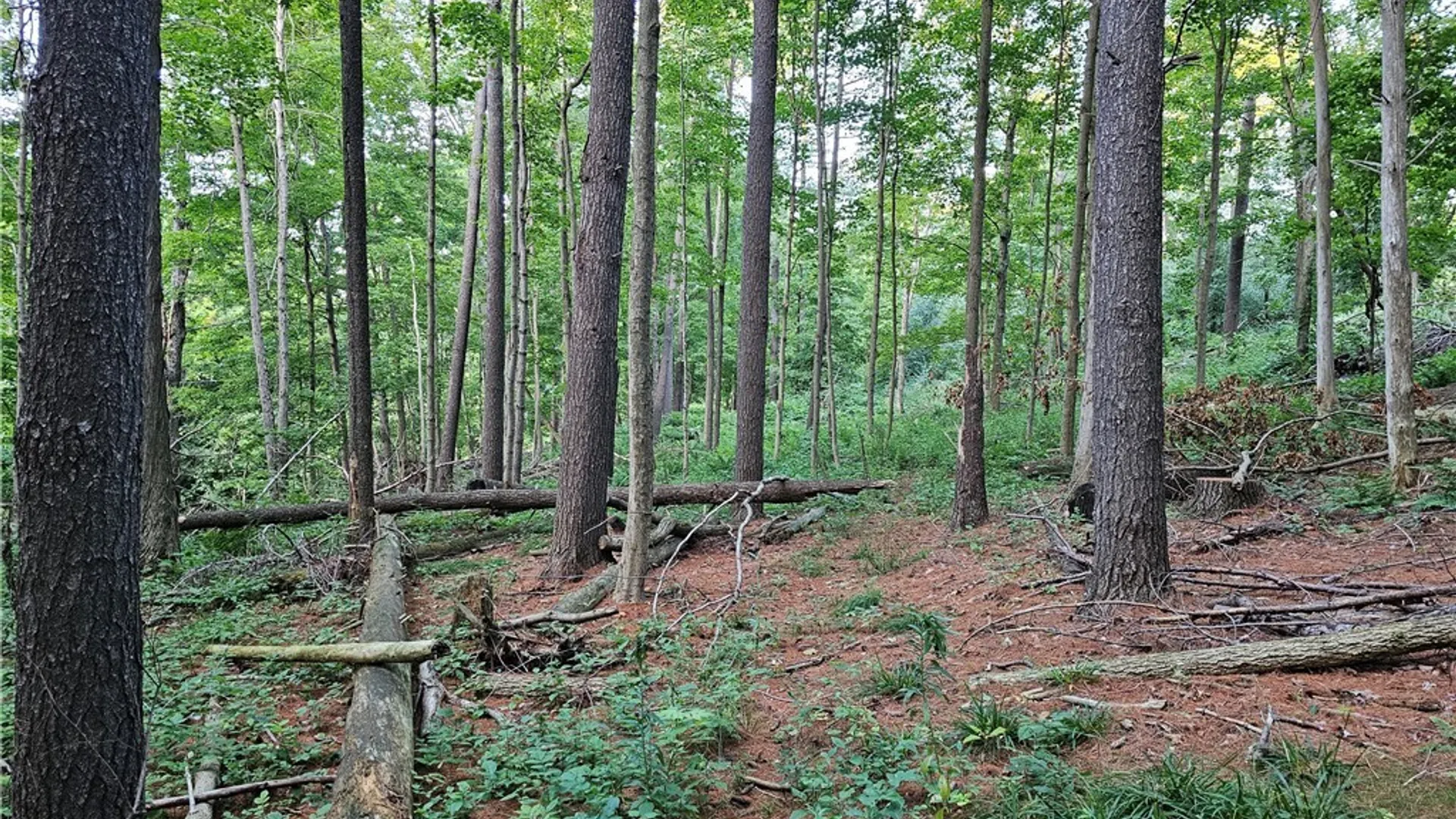 Property at Old State Rd, Denmark, NY 13619 25