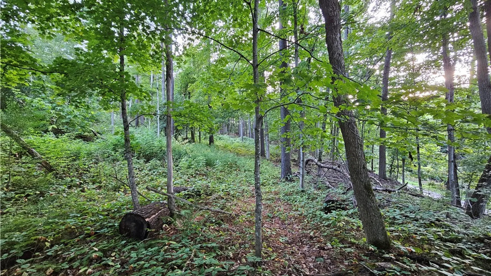 Property at Old State Rd, Denmark, NY 13619 29