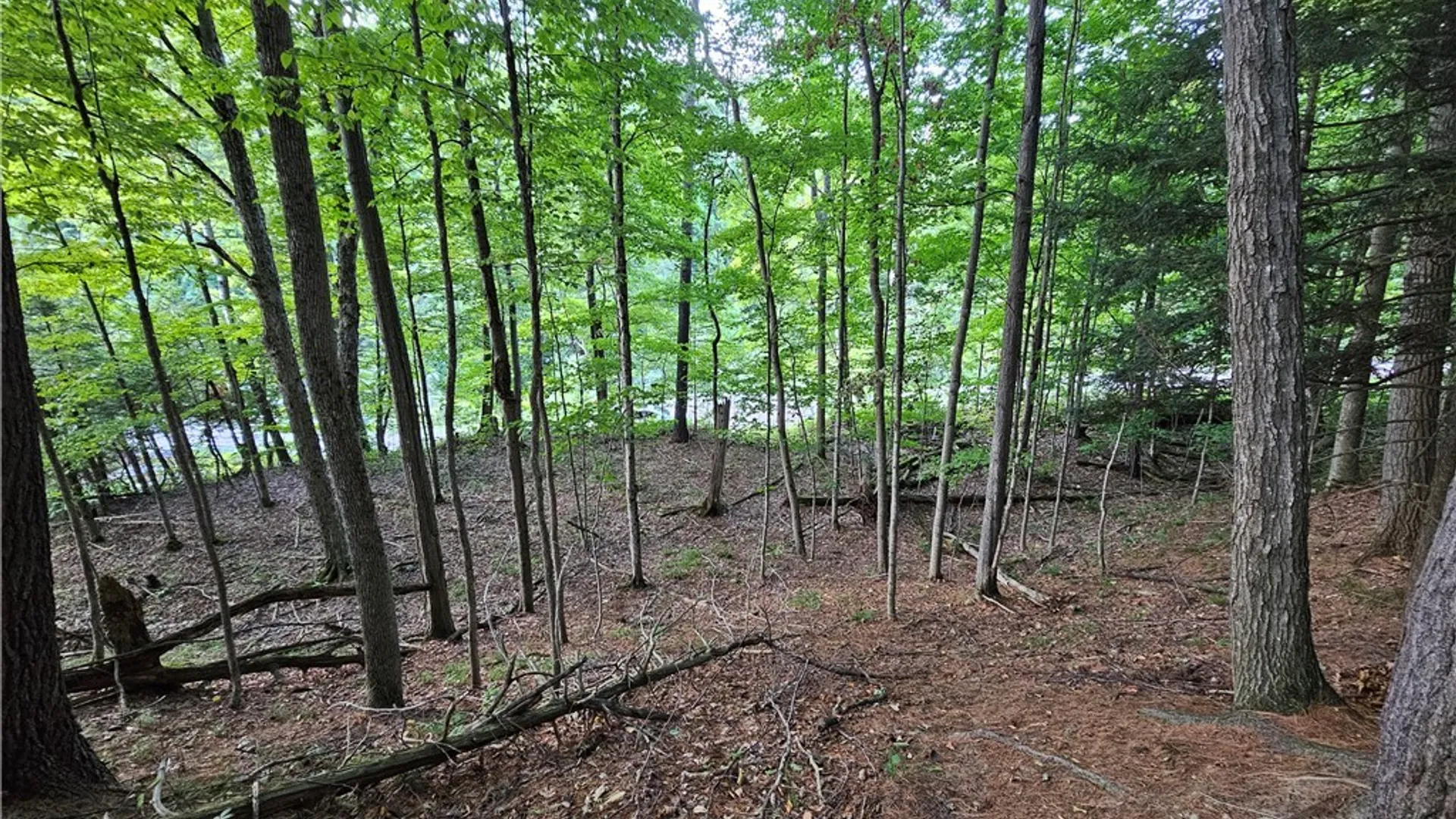Property at Old State Rd, Denmark, NY 13619 31