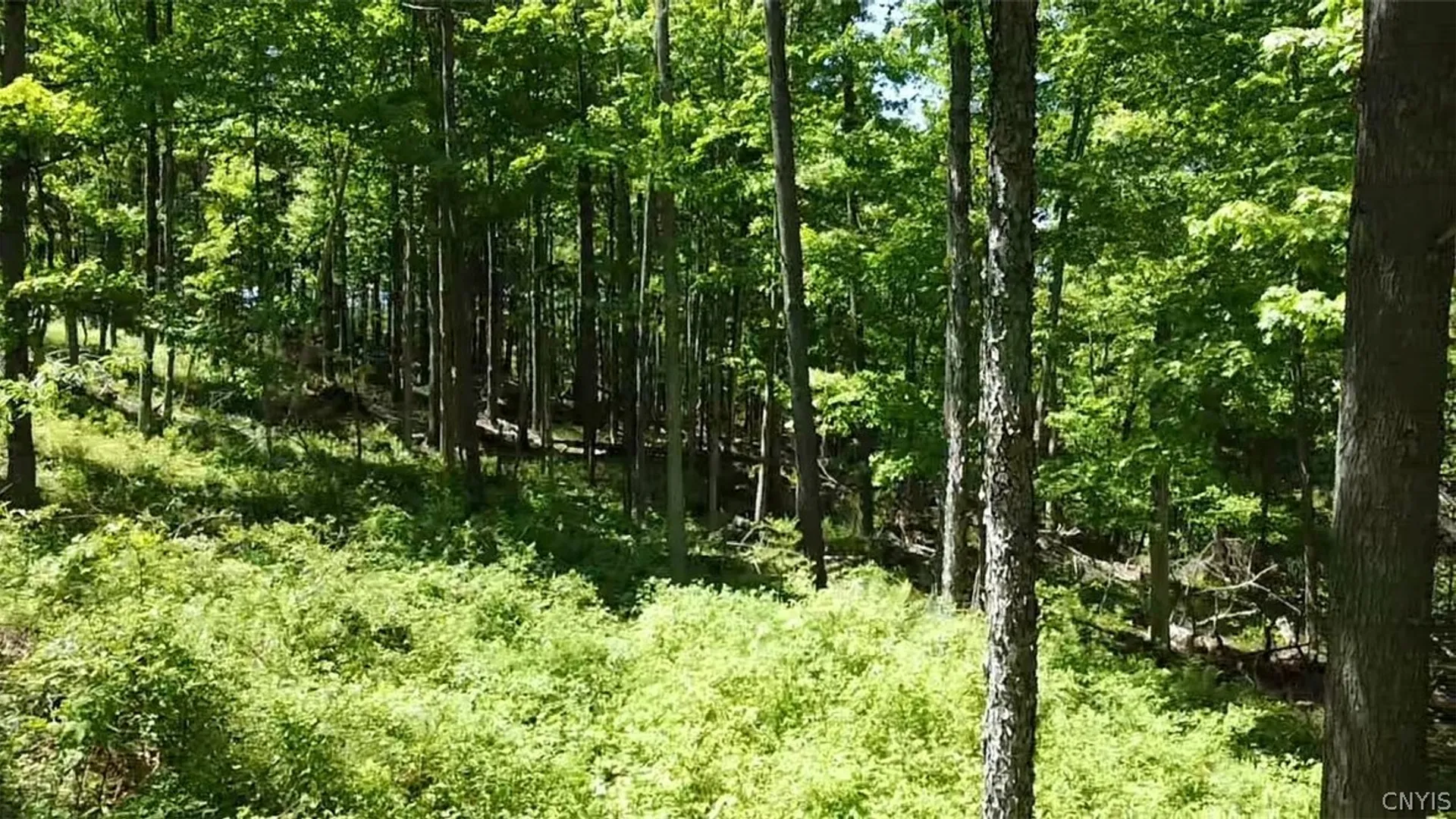 Property at Old State Rd, Denmark, NY 13619 13