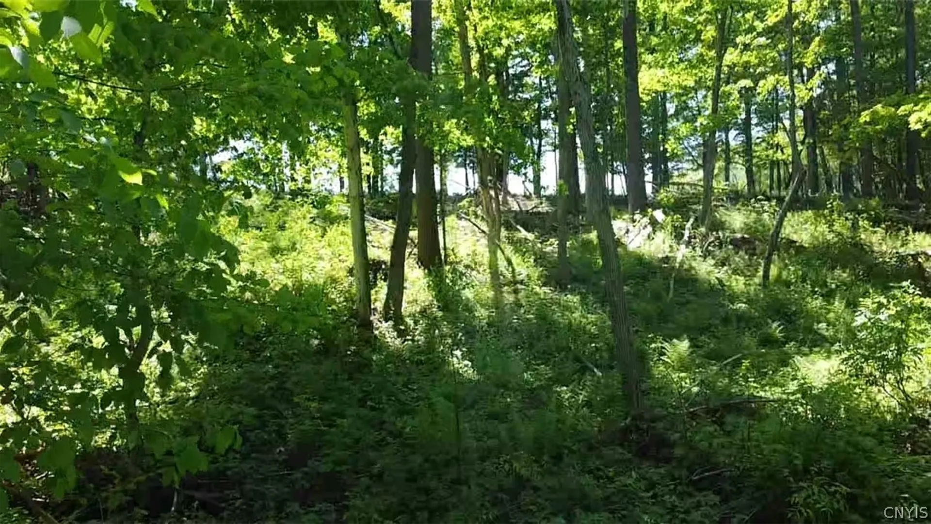 Property at Old State Rd, Denmark, NY 13619 14