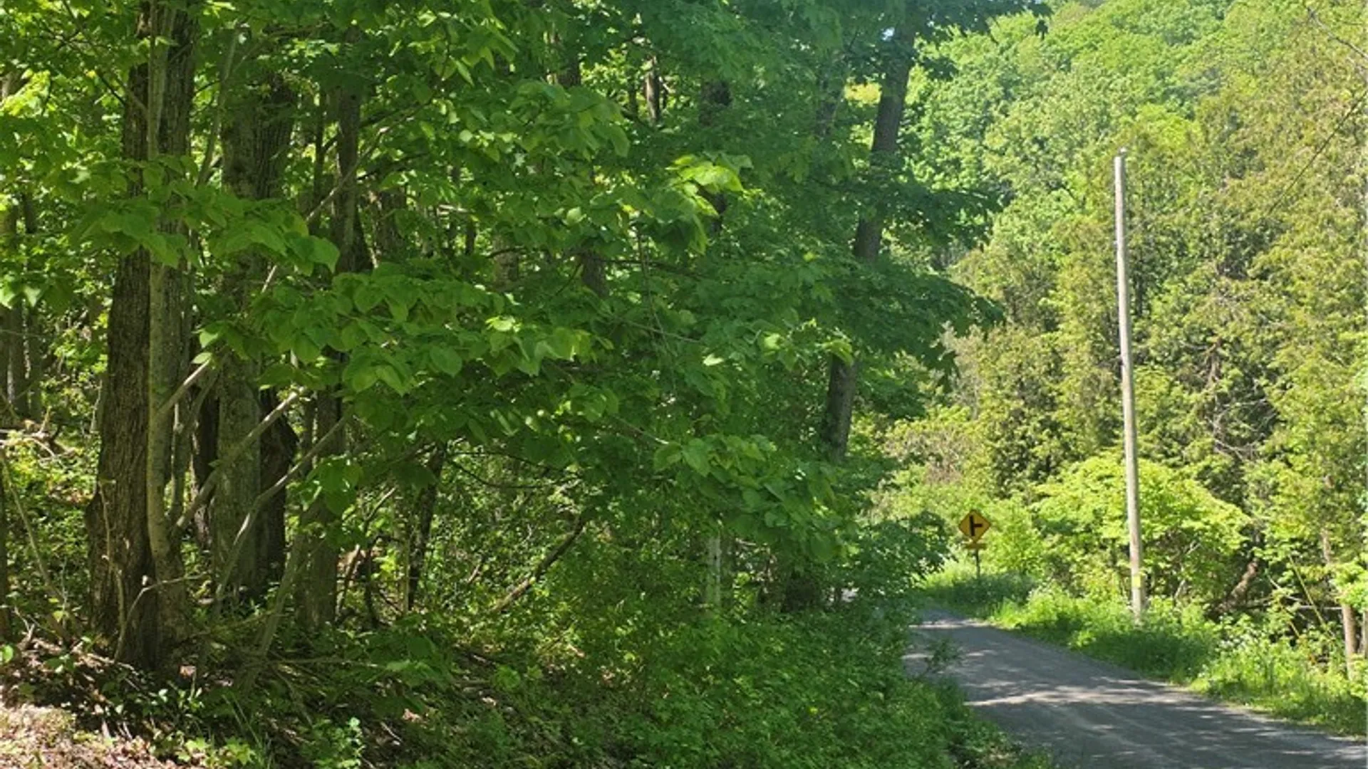 Property at Old State Rd, Denmark, NY 13619 20