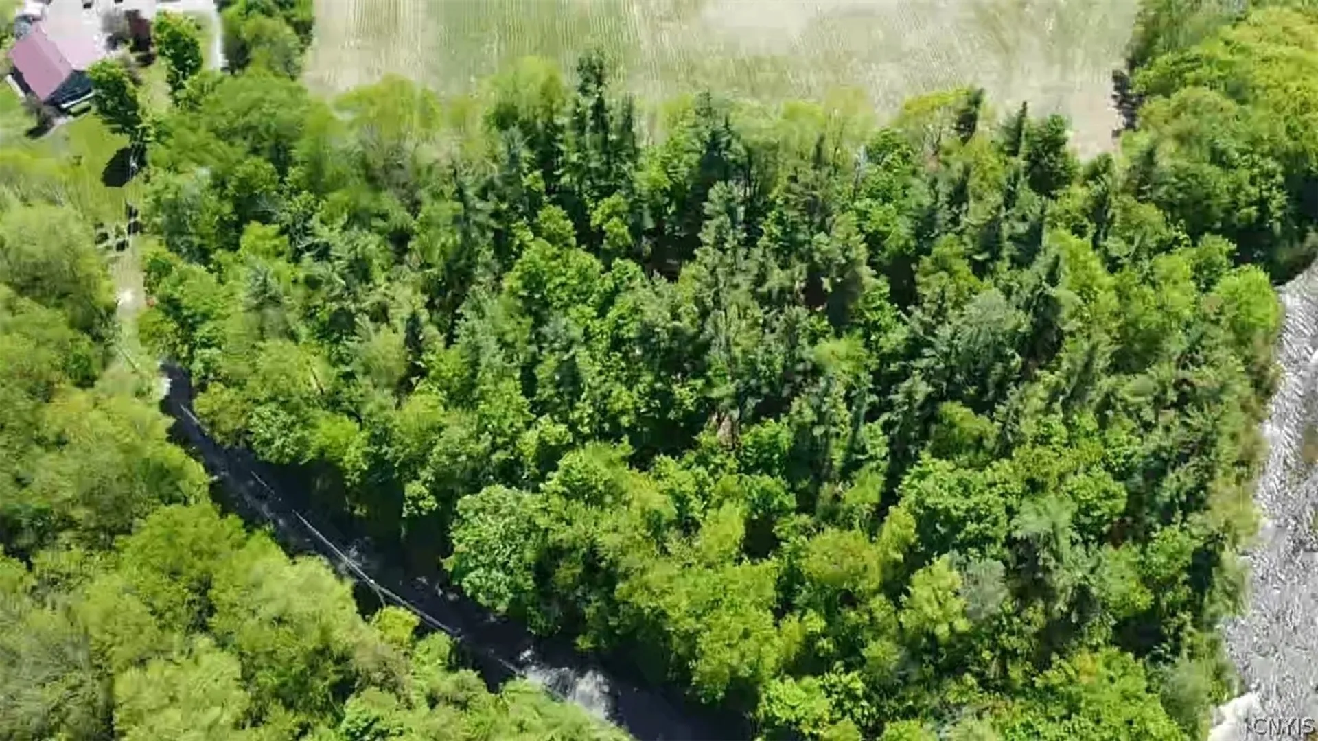 Property at Old State Rd, Denmark, NY 13619 10