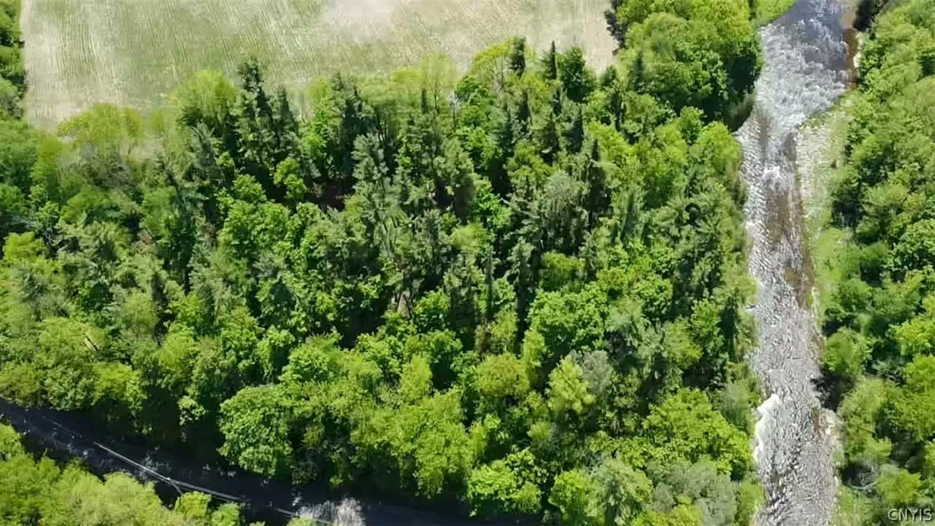 Property at Old State Rd, Denmark, NY 13619 9