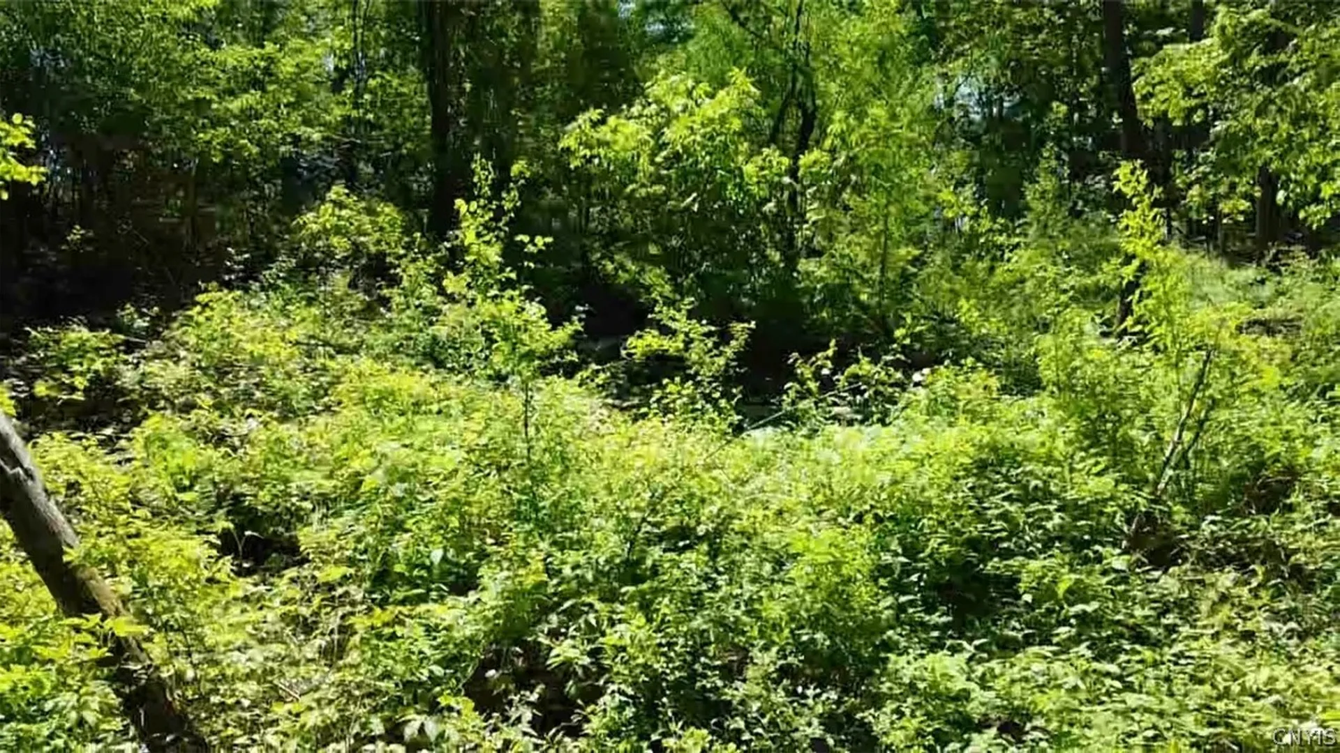 Property at Old State Rd, Denmark, NY 13619 11