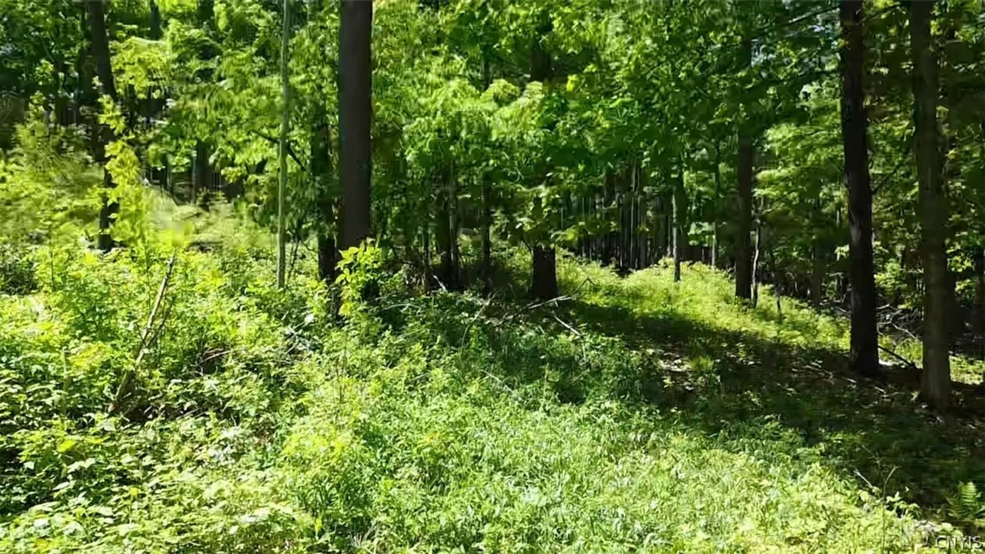 Property at Old State Rd, Denmark, NY 13619 12