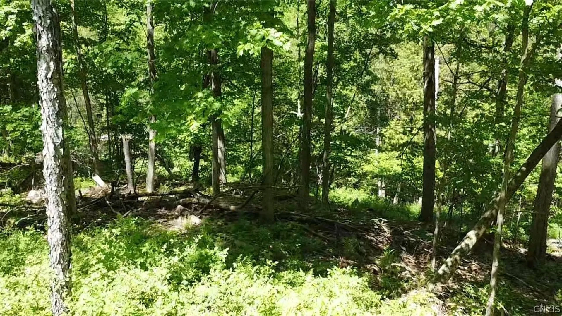 Property at Old State Rd, Denmark, NY 13619 16