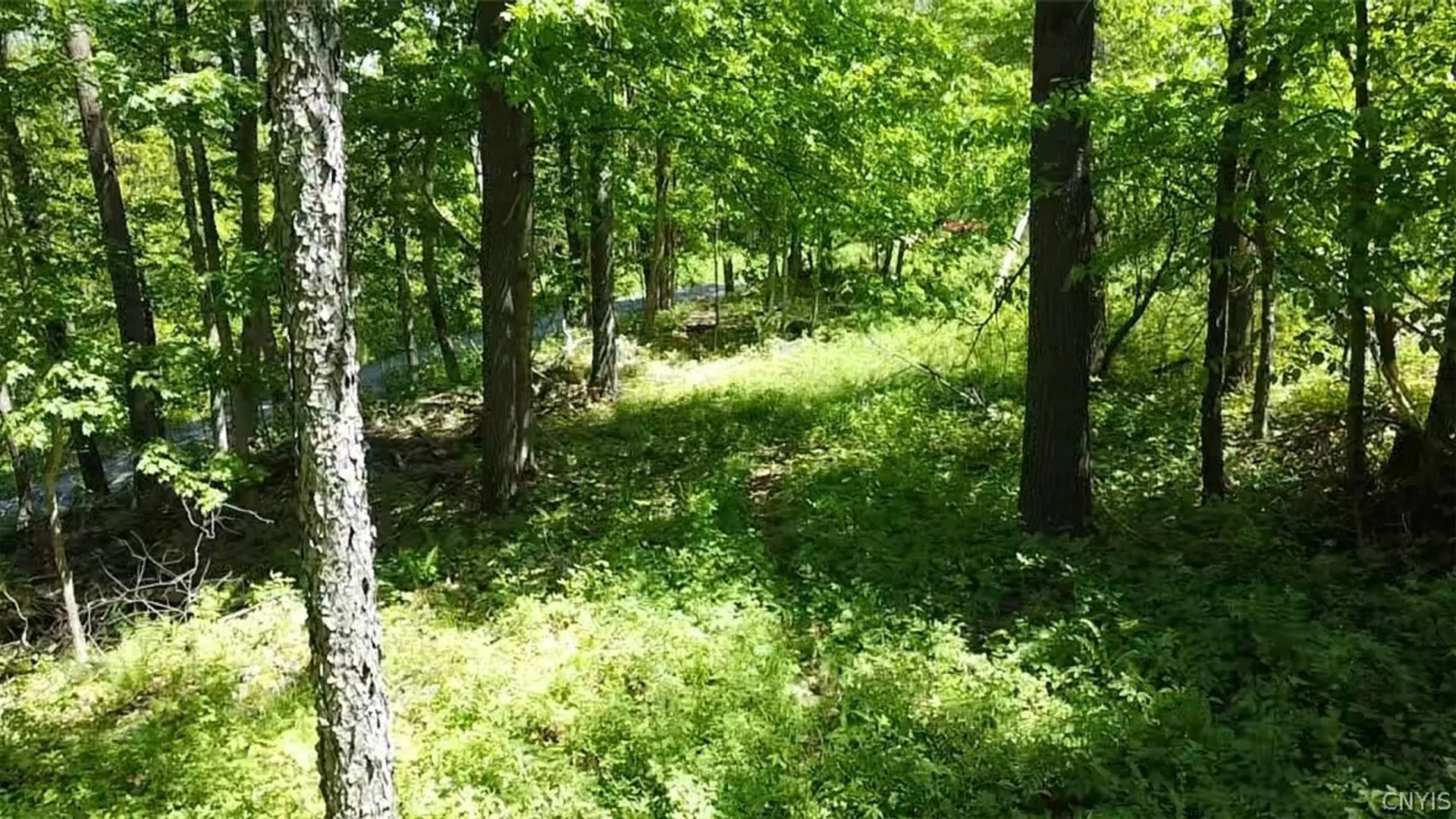 Property at Old State Rd, Denmark, NY 13619 17