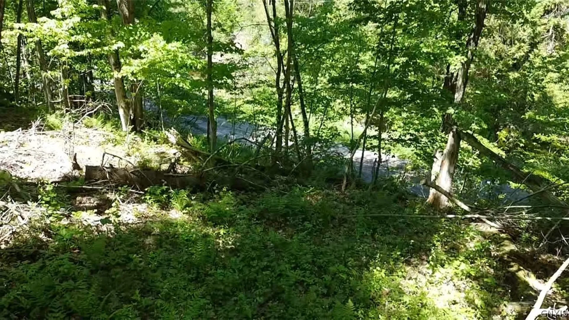 Property at Old State Rd, Denmark, NY 13619 18