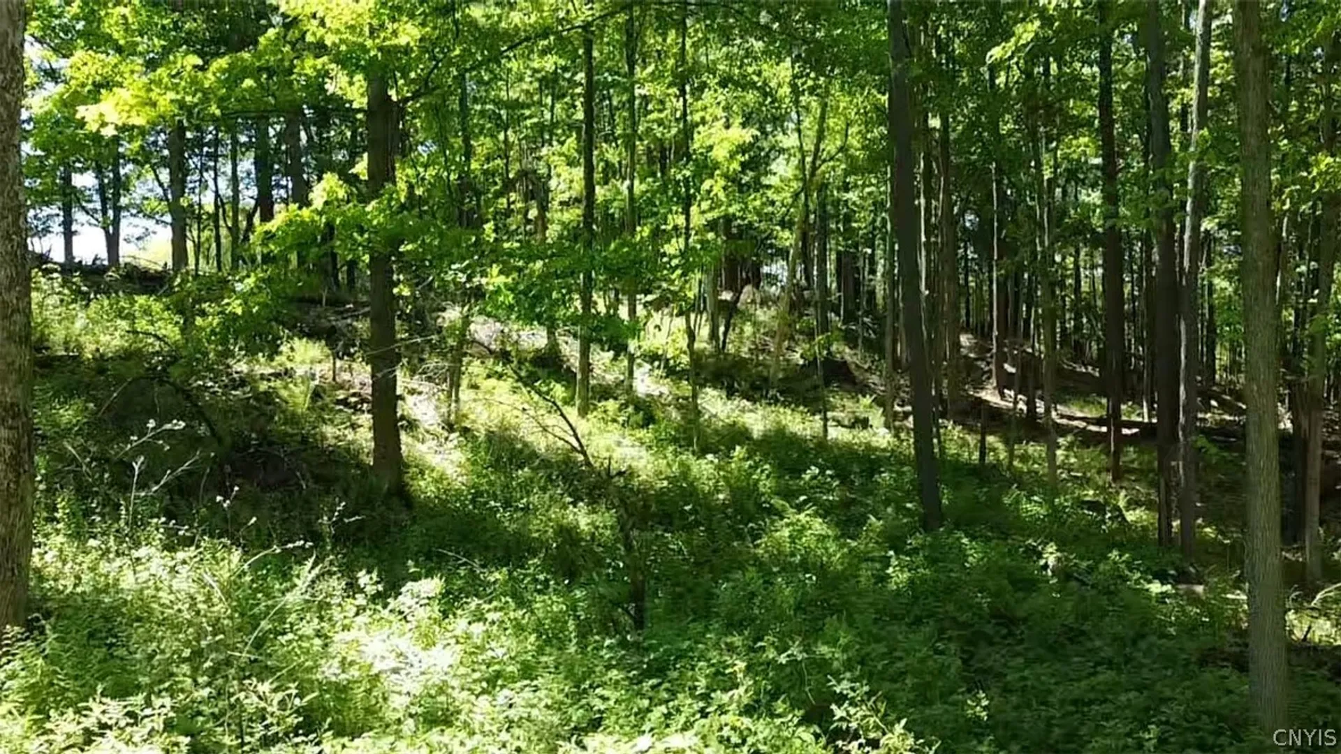 Property at Old State Rd, Denmark, NY 13619 15