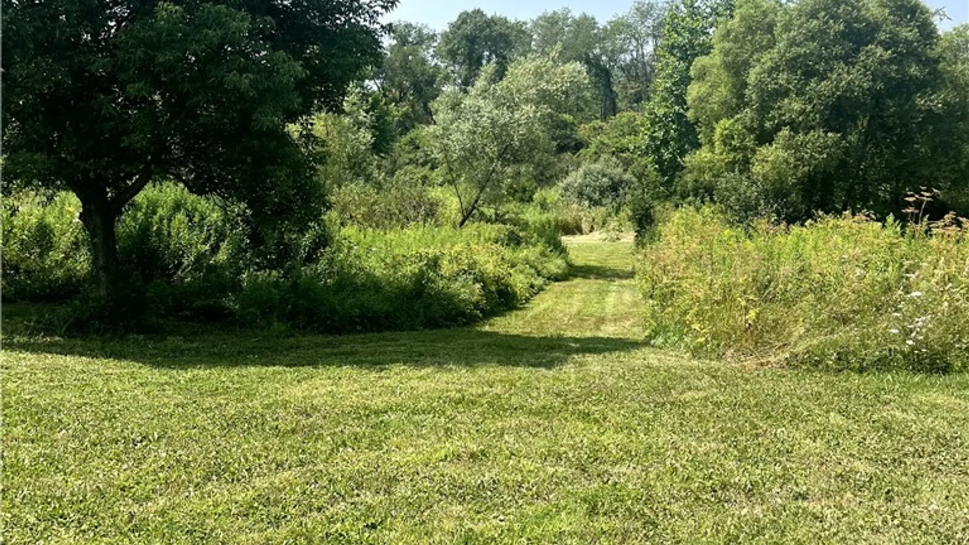 Property at 7649 County Rd 15 Road, Angelica, NY 14709 4