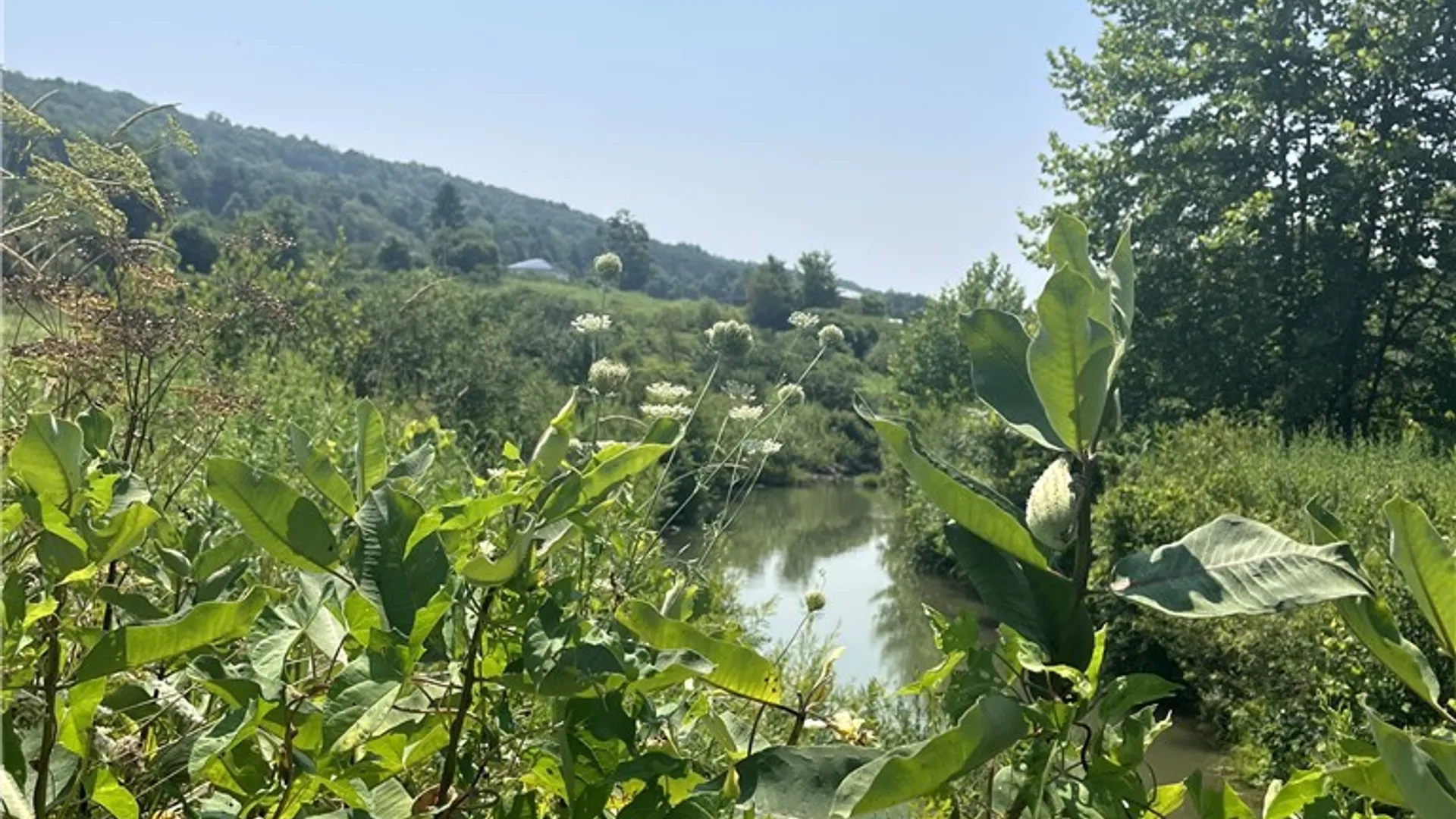 Property at 7649 County Rd 15 Road, Angelica, NY 14709 6