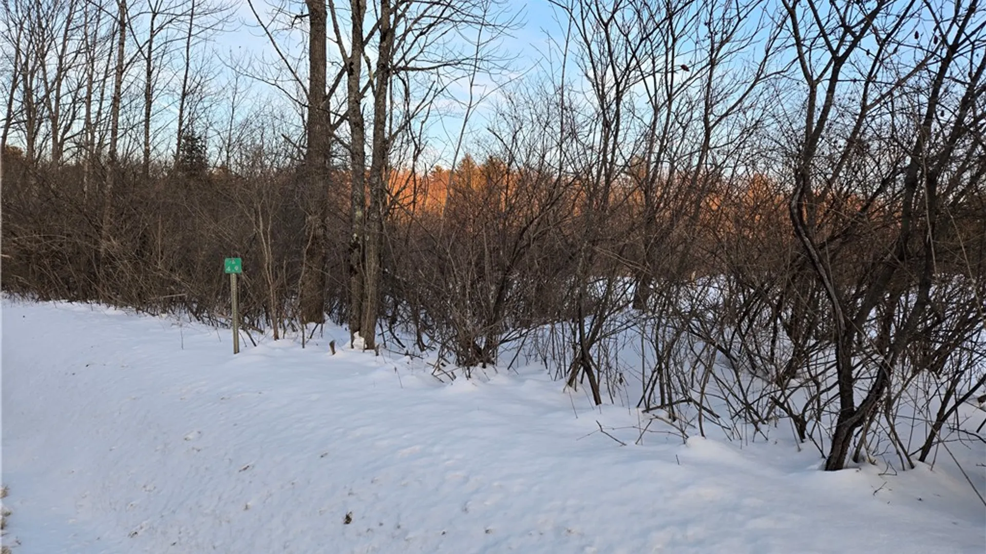 Property at Lot 119 and 110 Corbin Hill Road, Charleston, NY 12166 7