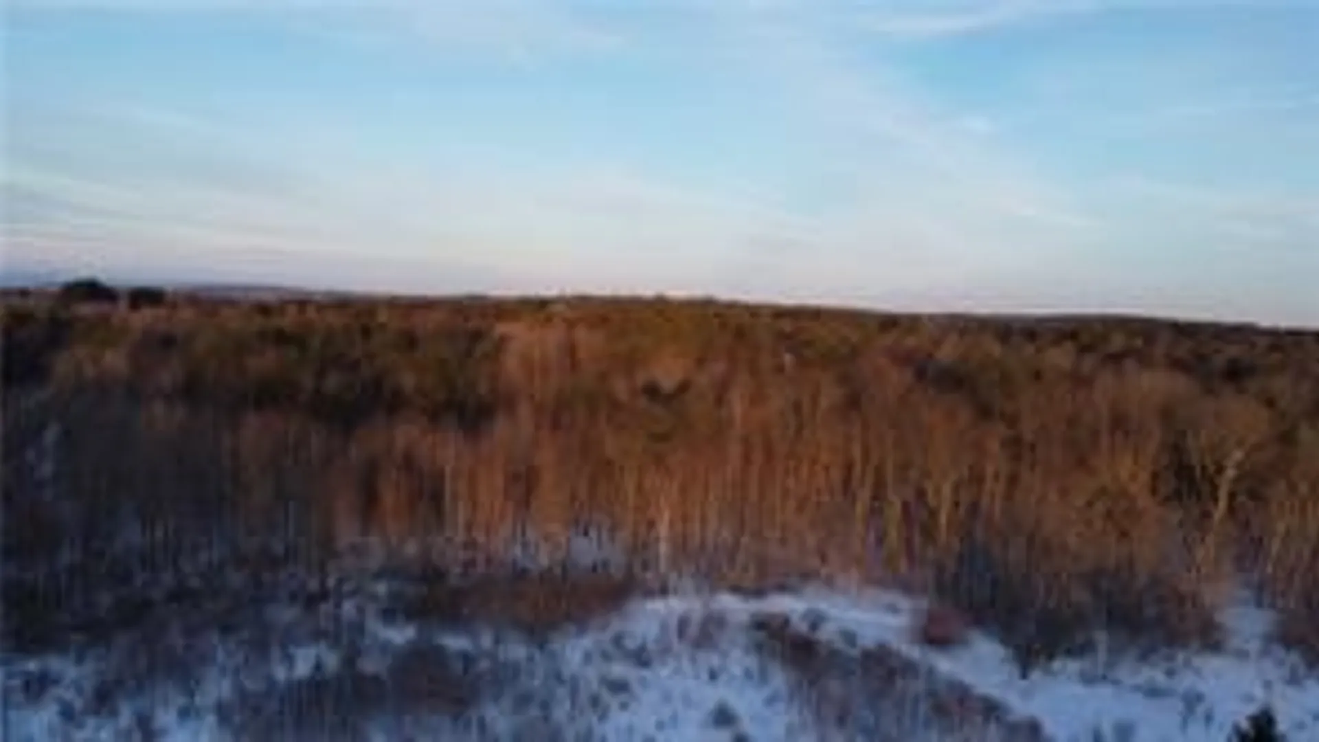 Property at Lot 119 and 110 Corbin Hill Road, Charleston, NY 12166 11