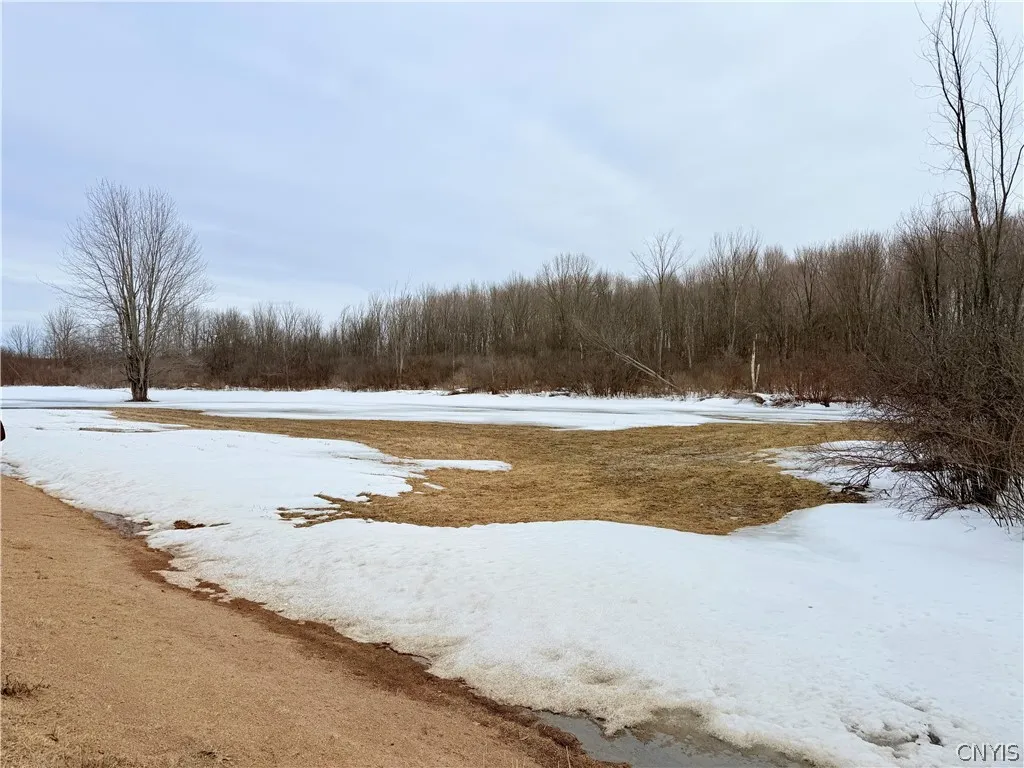 Property at Buttermilk Flat Road, Orleans, NY 13656