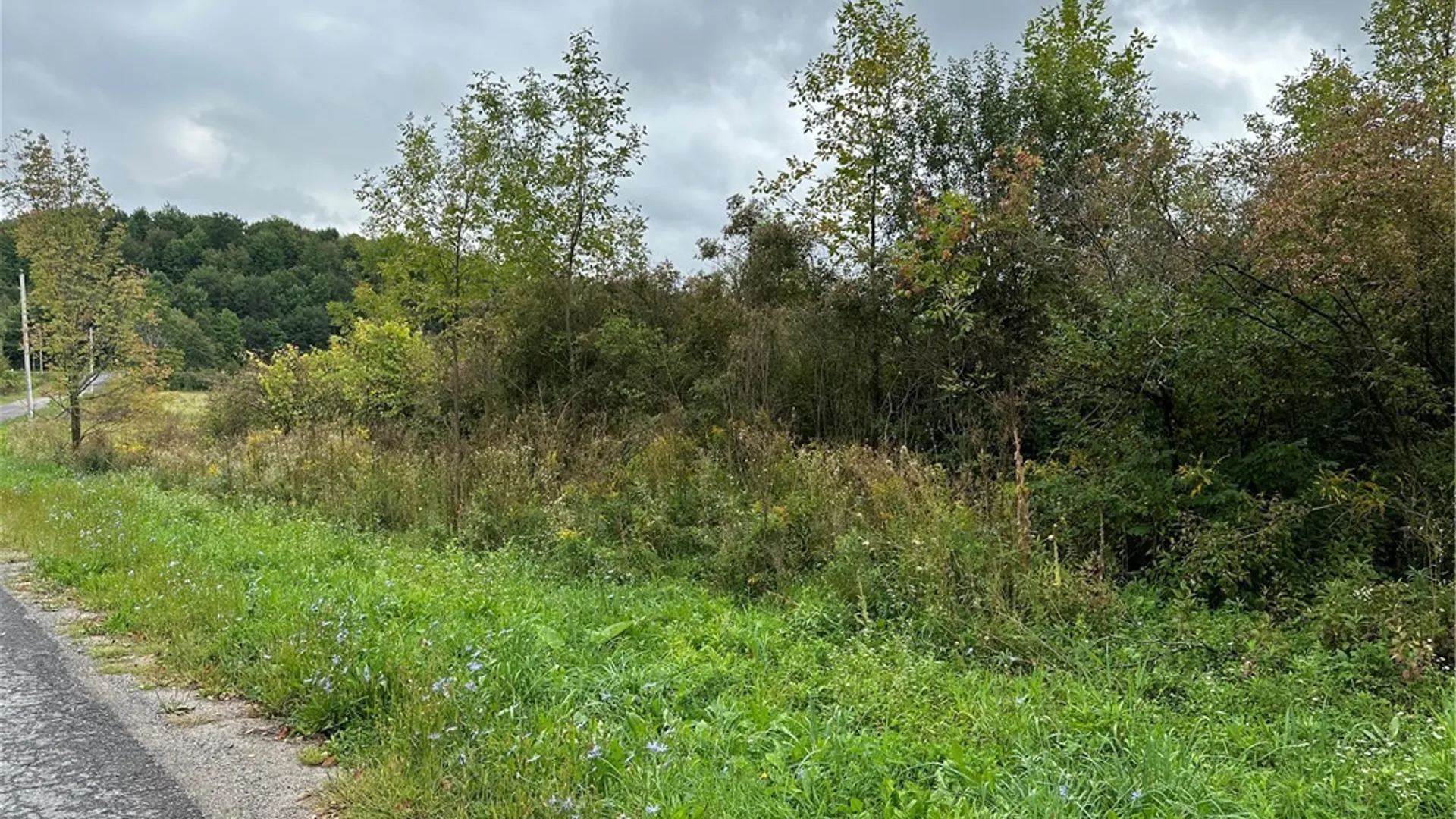 Property at County Route 22, Antwerp, NY 13608 8